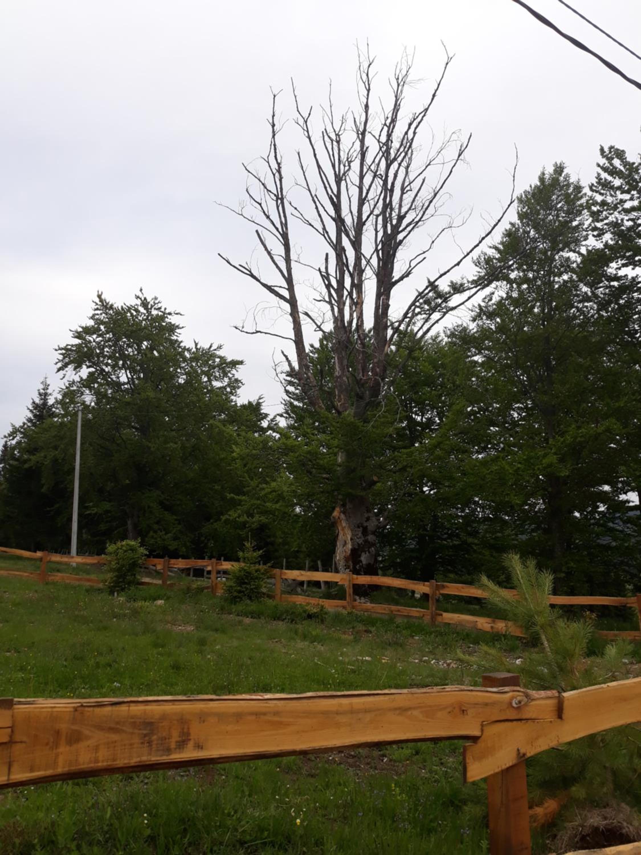 Photo 22