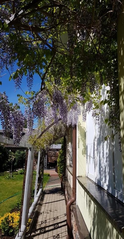 Vila Florena Garden