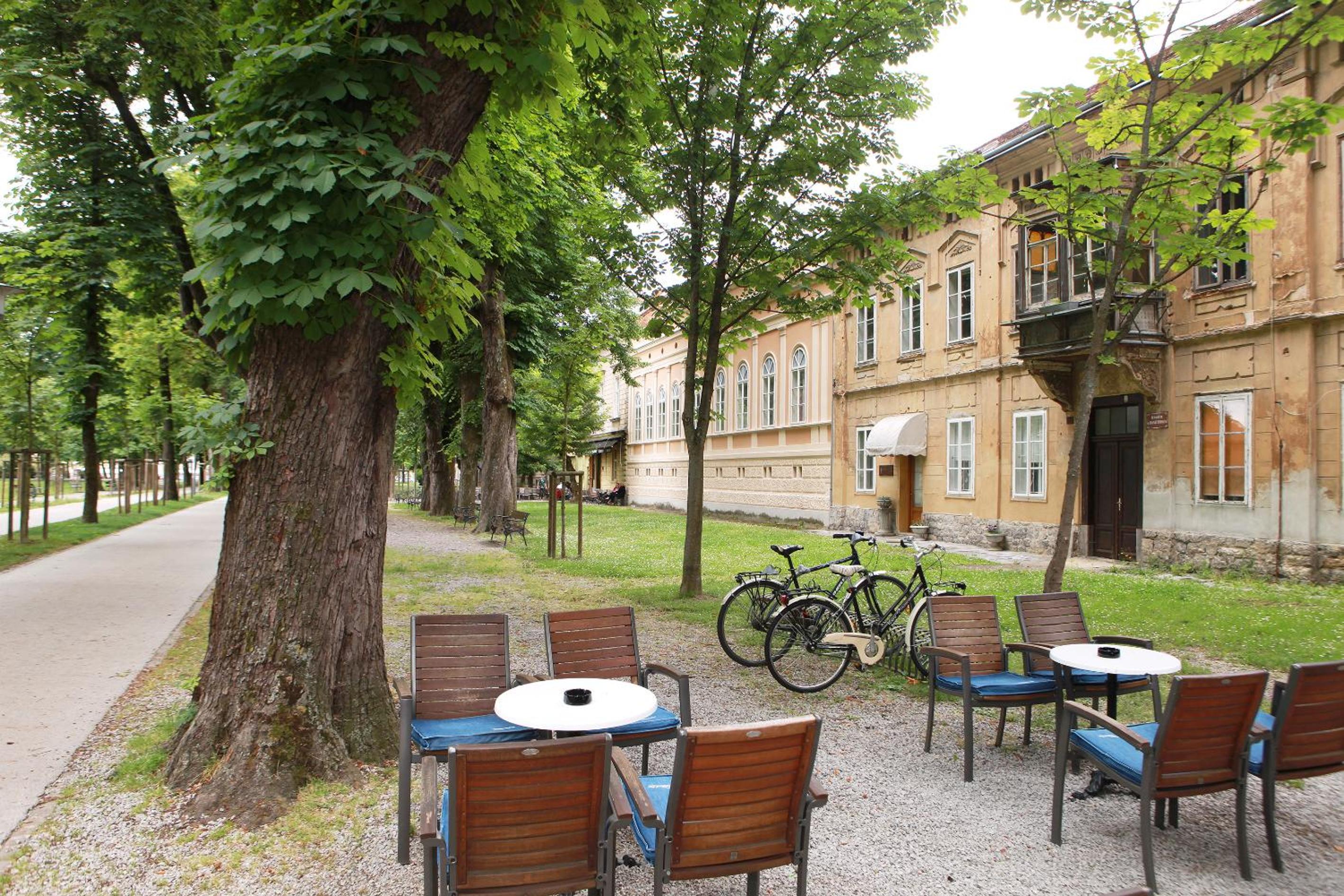 Photo 15