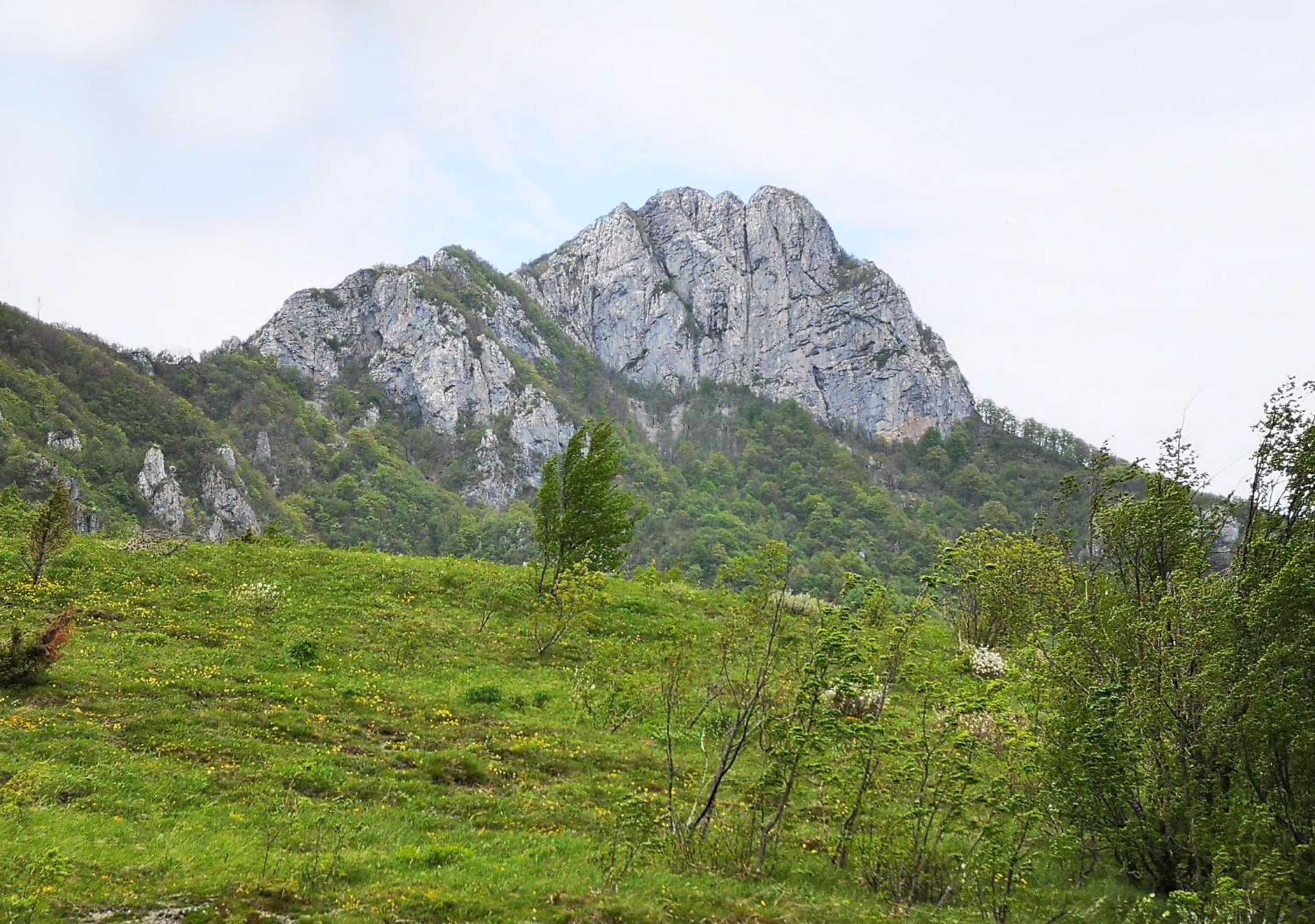 Photo 42