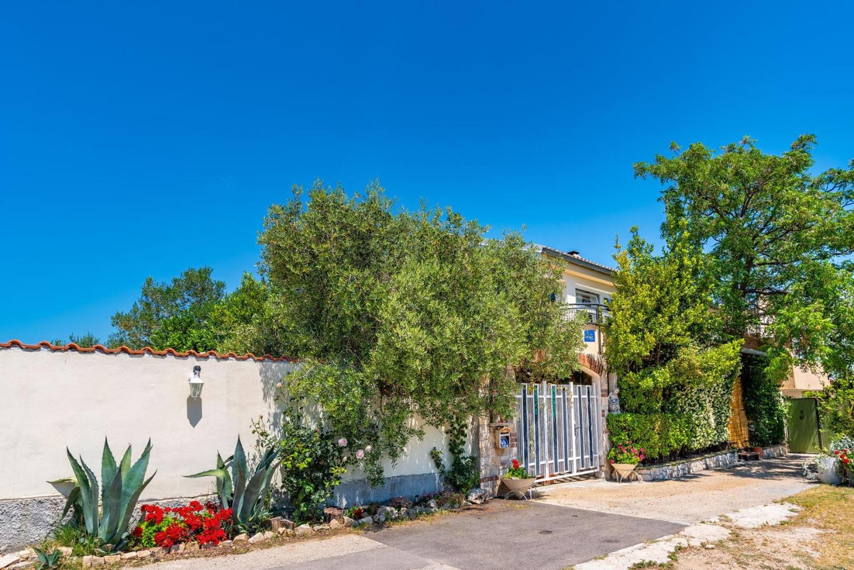 Olive House Zadar view 4