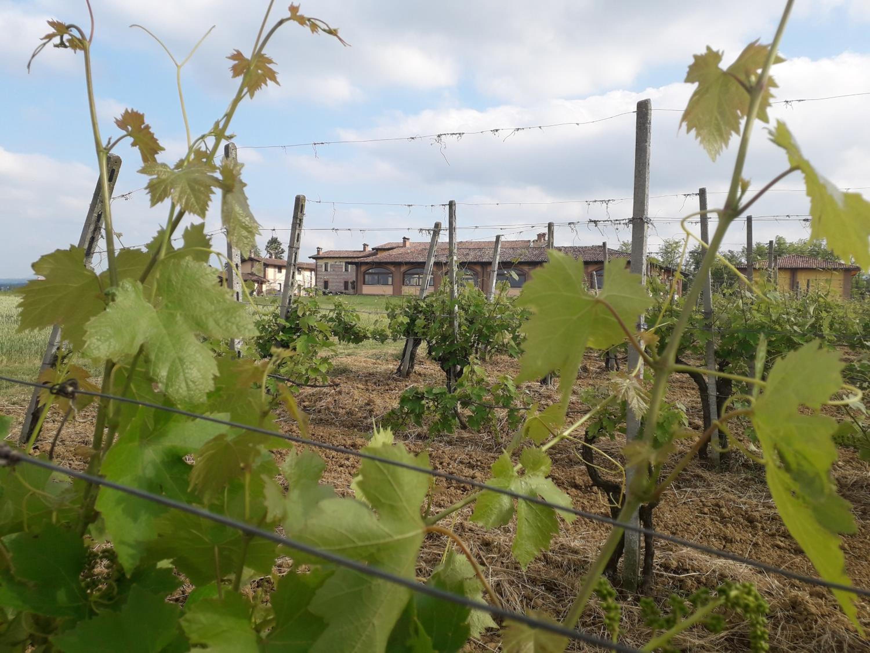 Agriturismo AMA