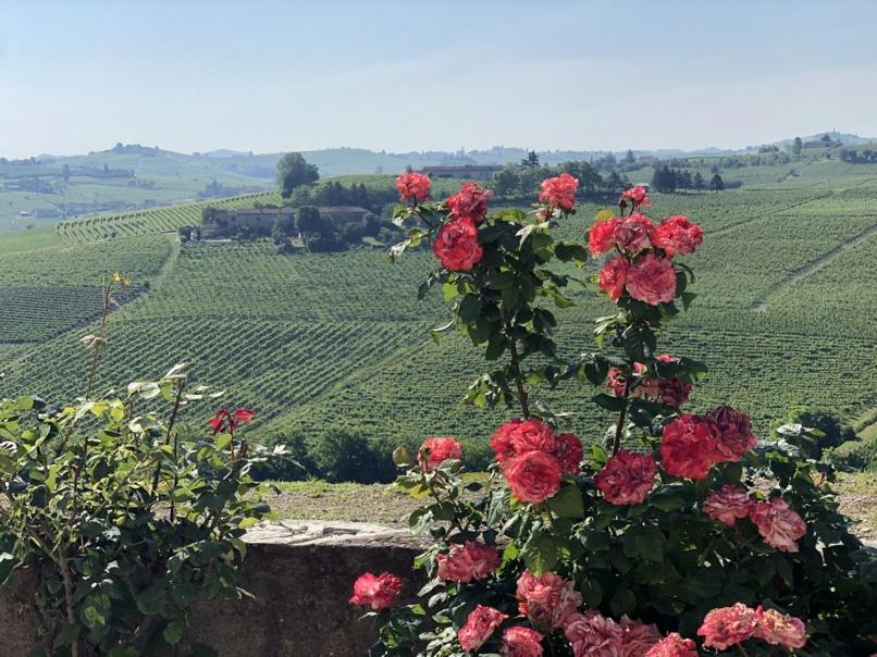Tenuta Le More
