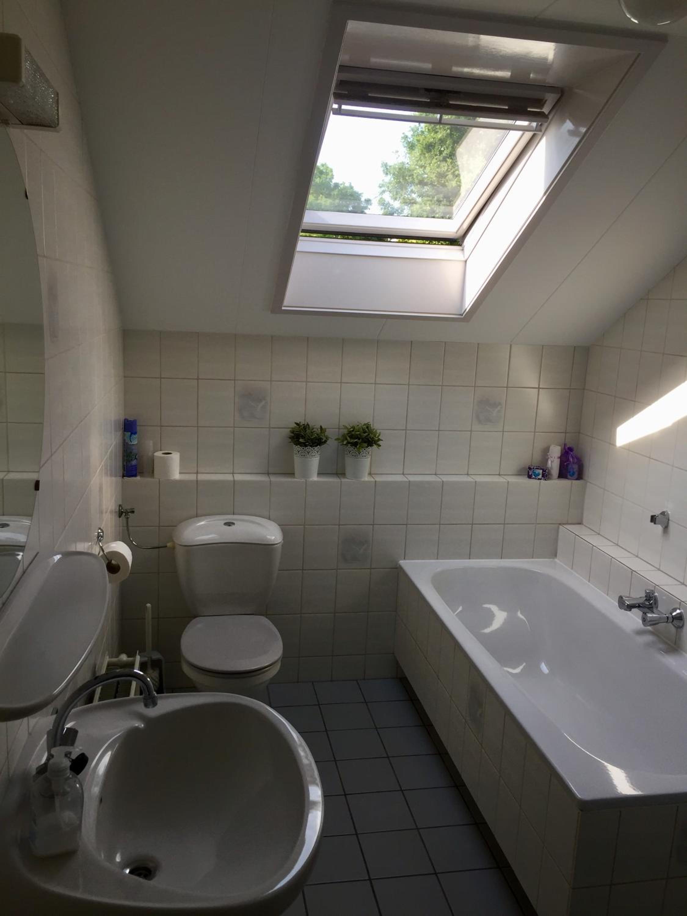 de Duinroos en Oostkapelle — bathroom