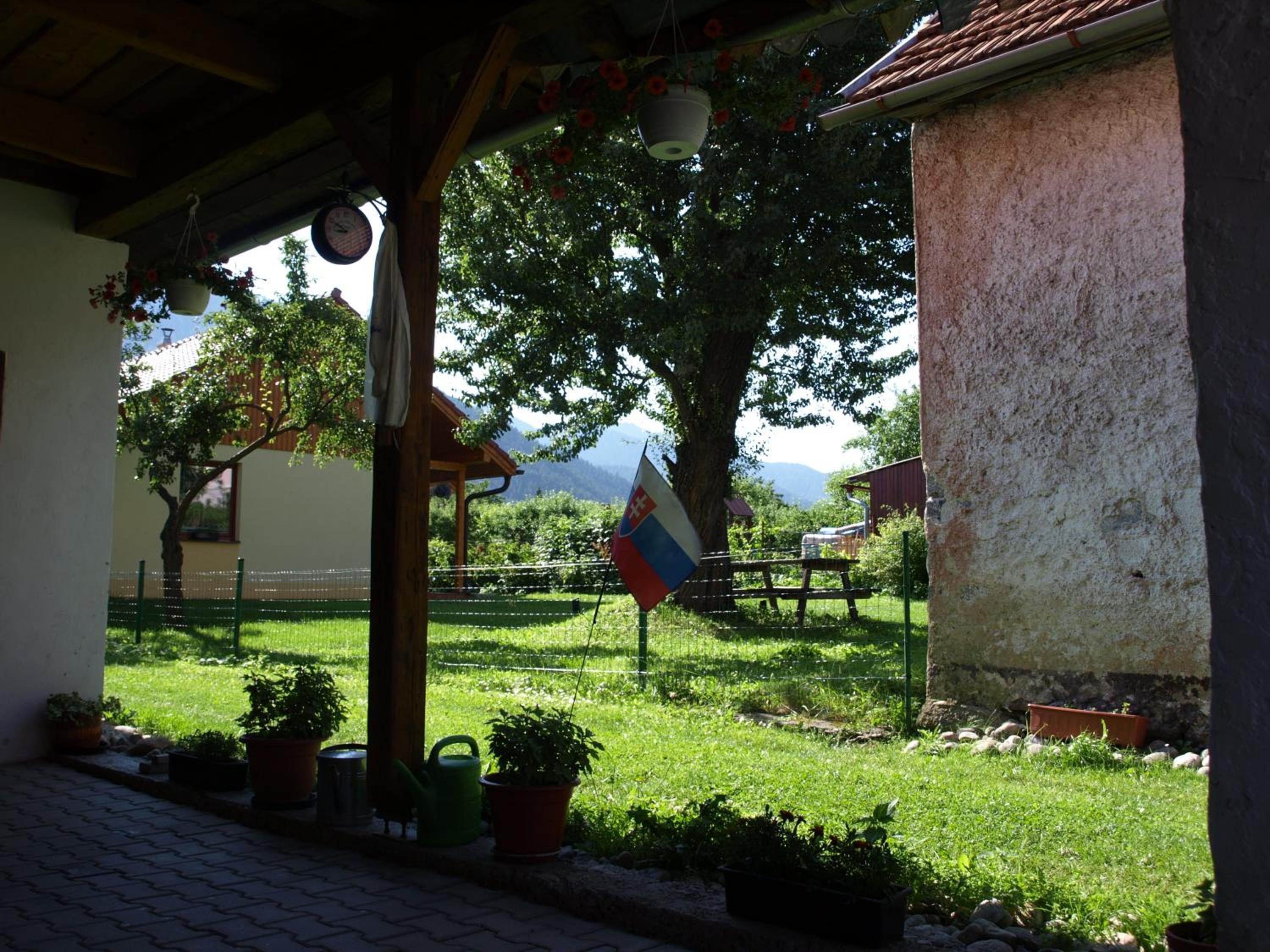 Photo 11