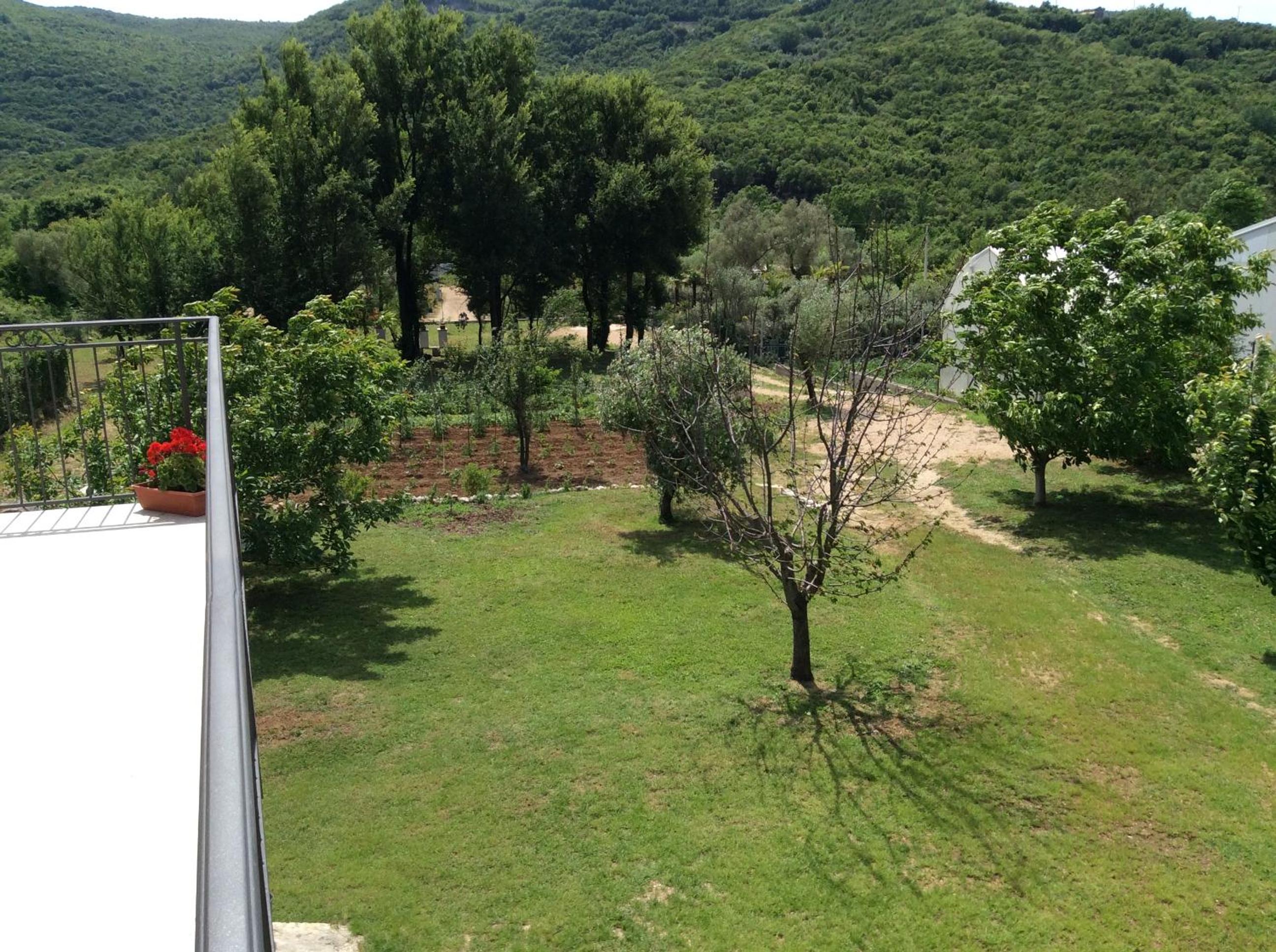 Apartments Raskovic I view 5