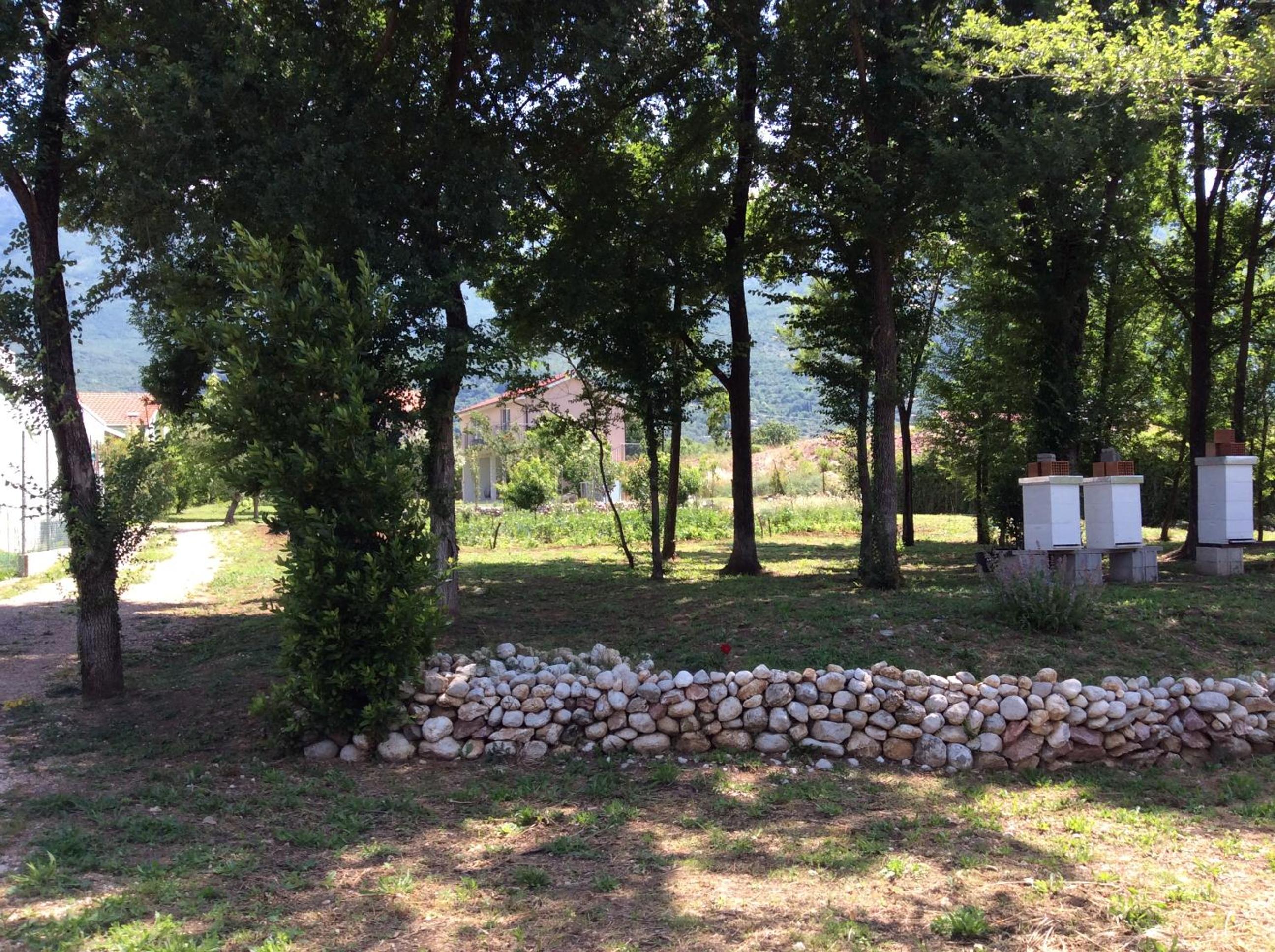 Photo 29