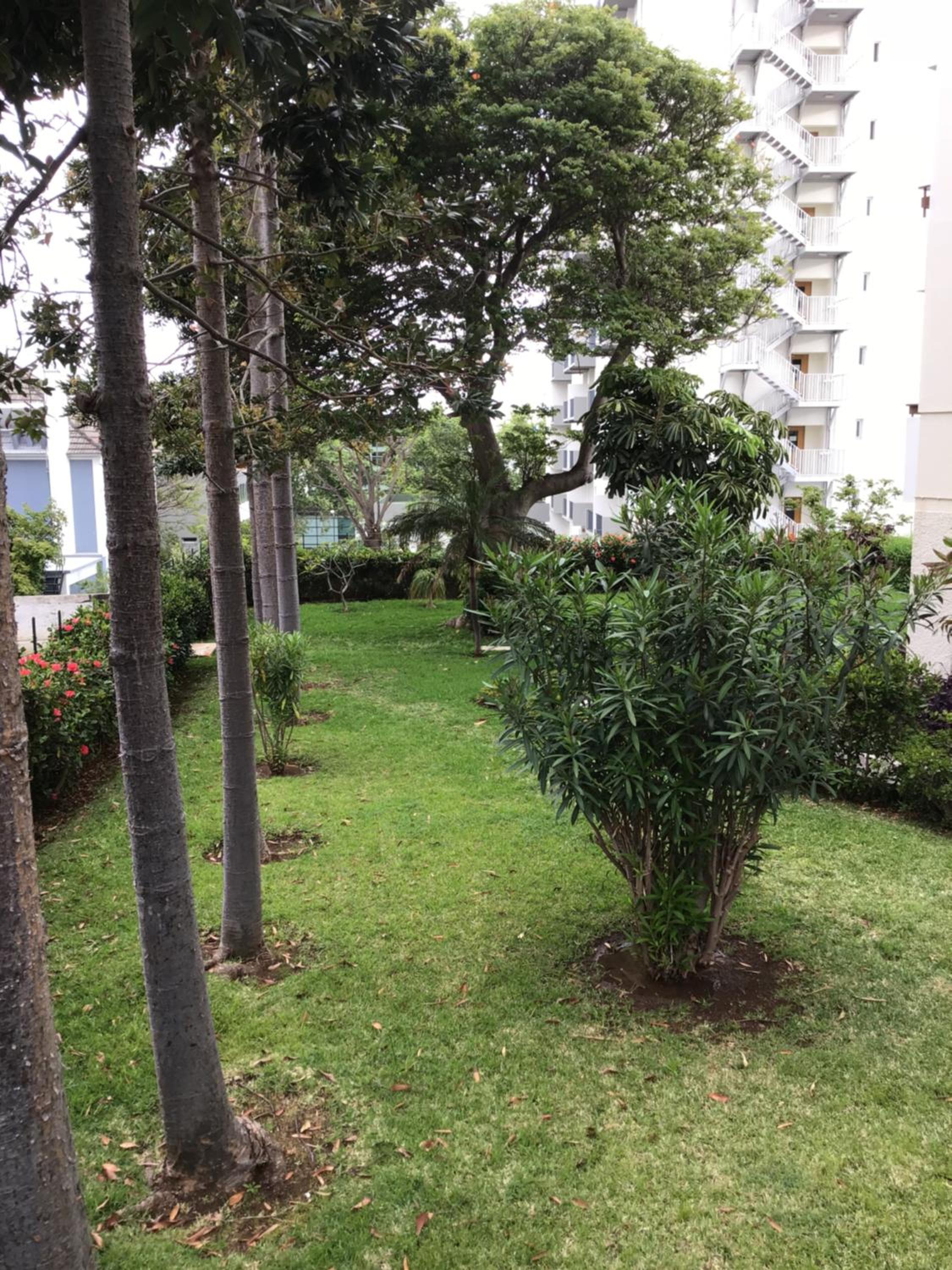 Casa Branca Apartments by Wanderlust Madeira, vacation rentals view 3