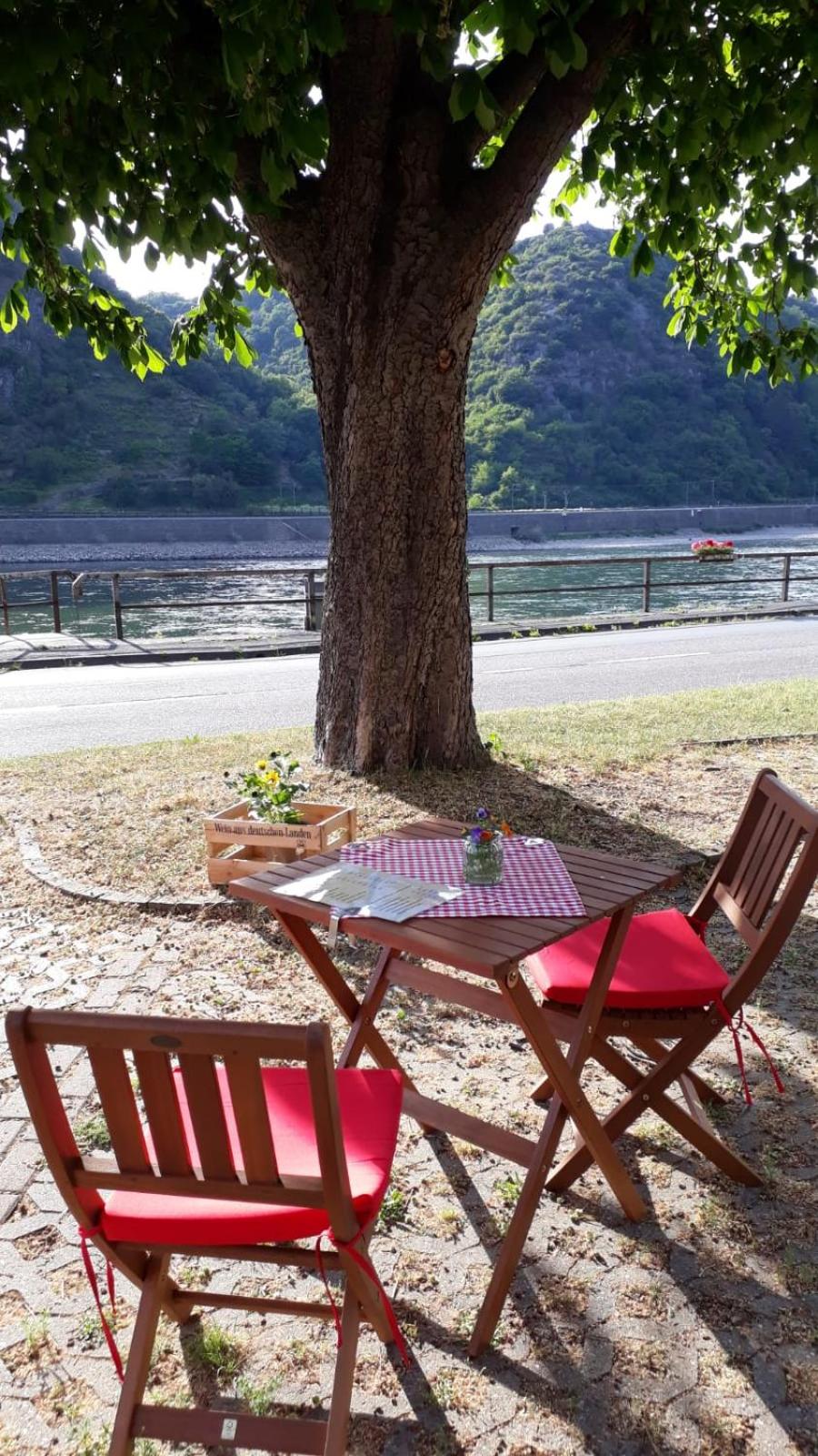 Pension / Ferienwohnungen Scheid