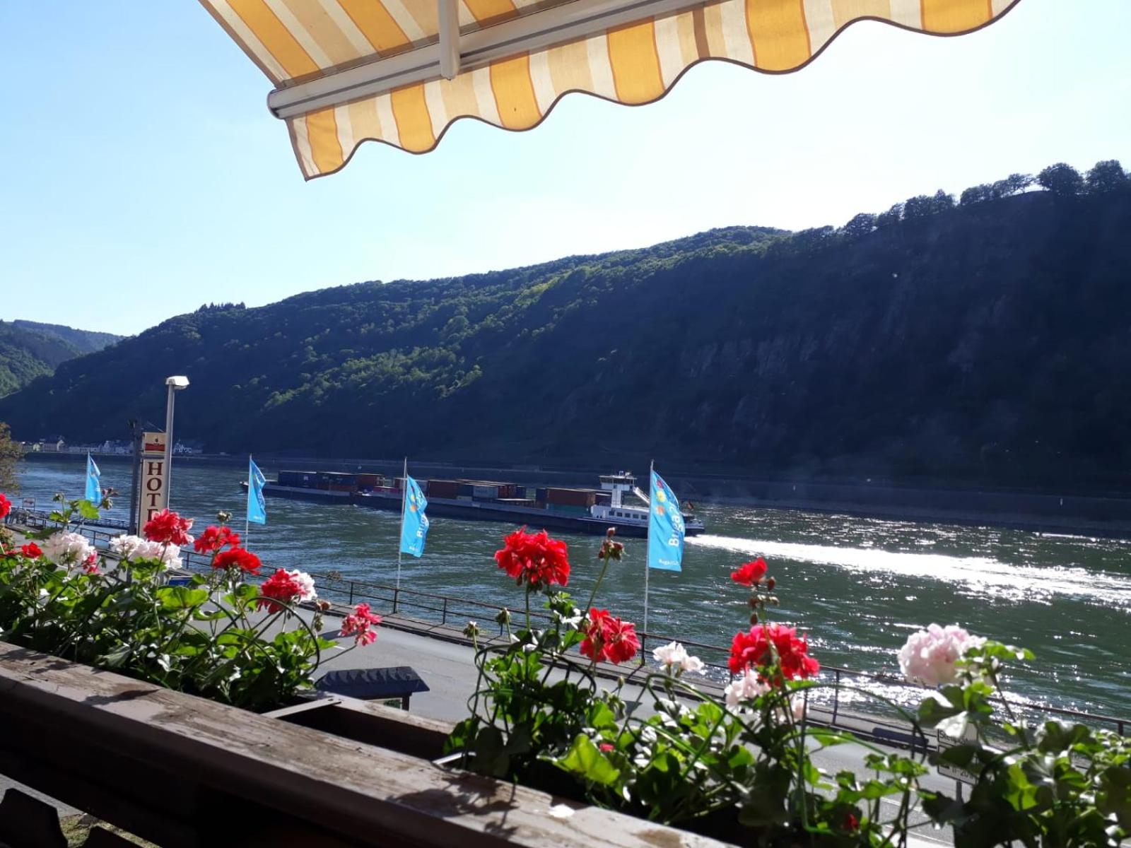 Pension / Ferienwohnungen Scheid