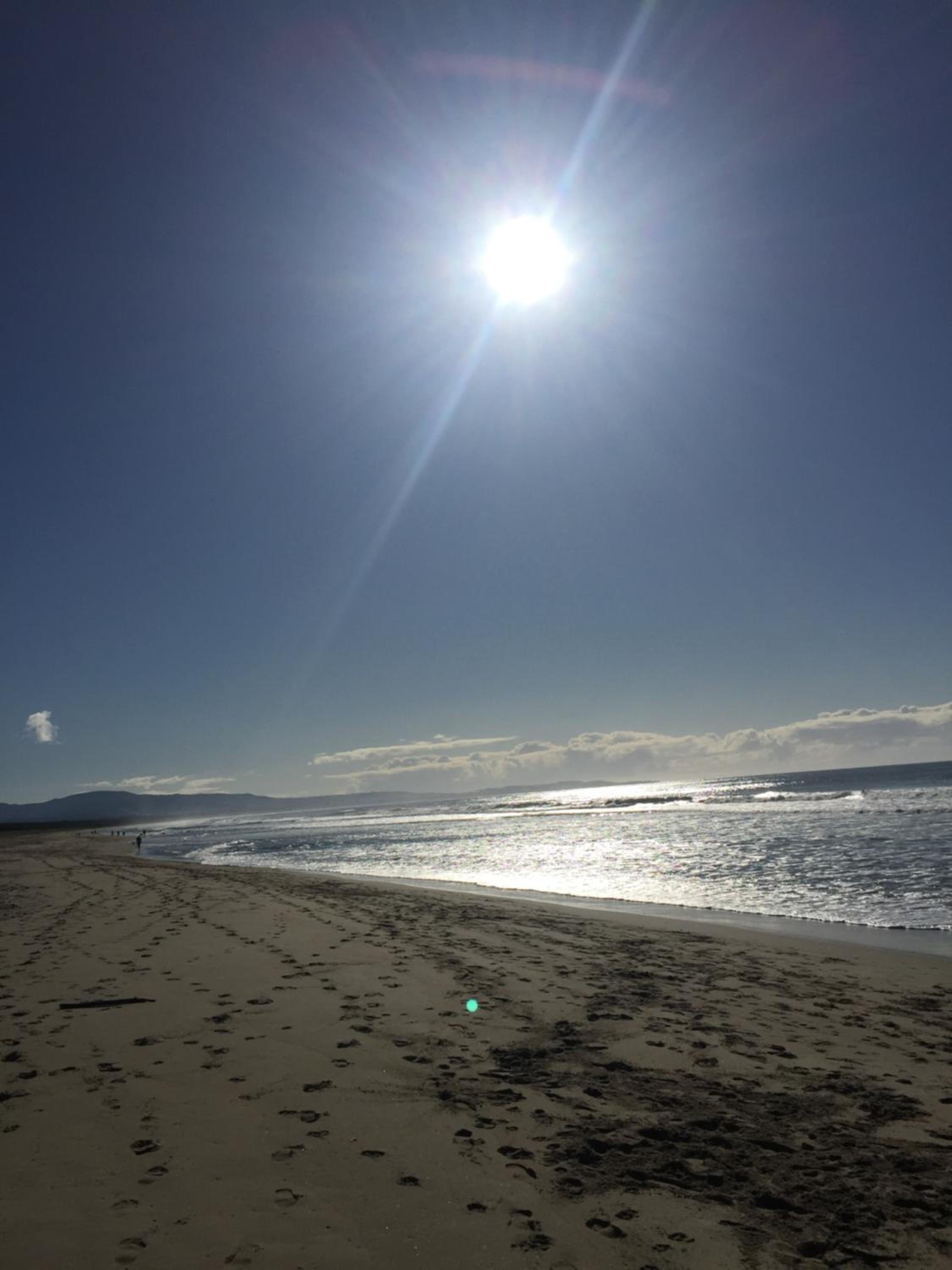 Tantallon - Property Image 18