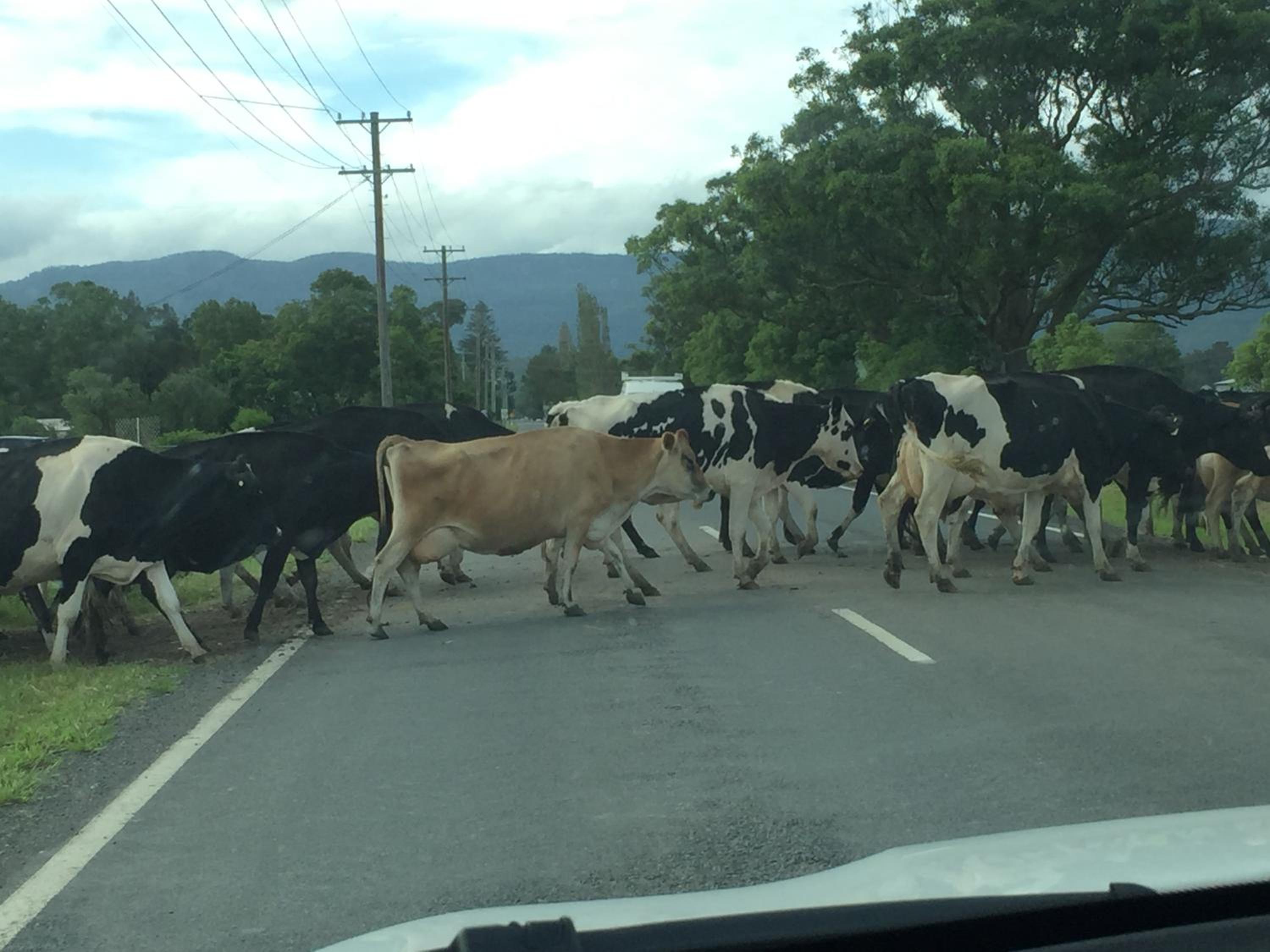 Tantallon - Property Image 17