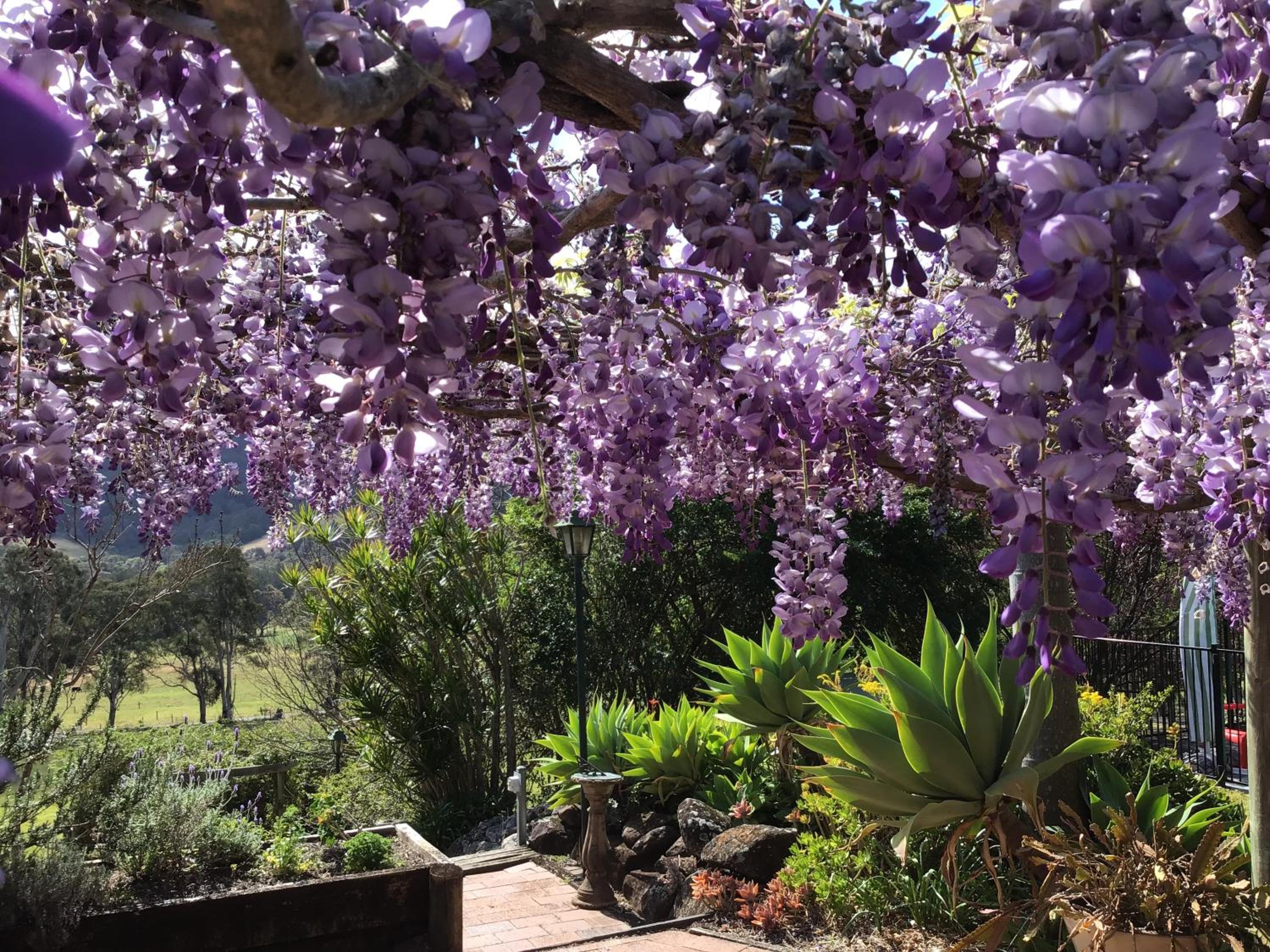 Tantallon - Property Image 16