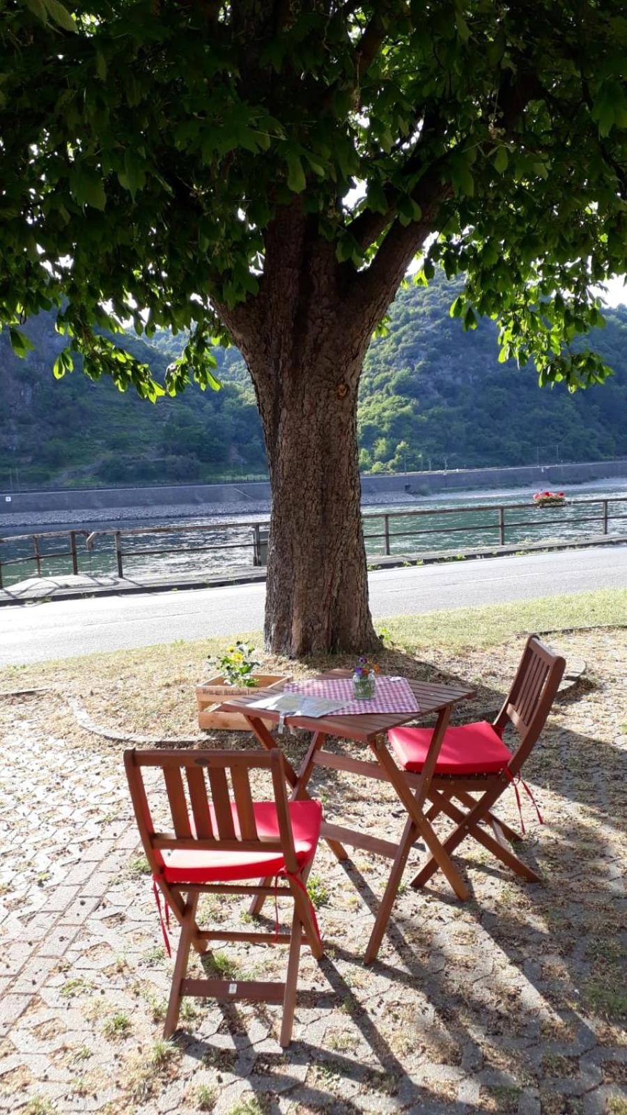 Pension / Ferienwohnungen Scheid