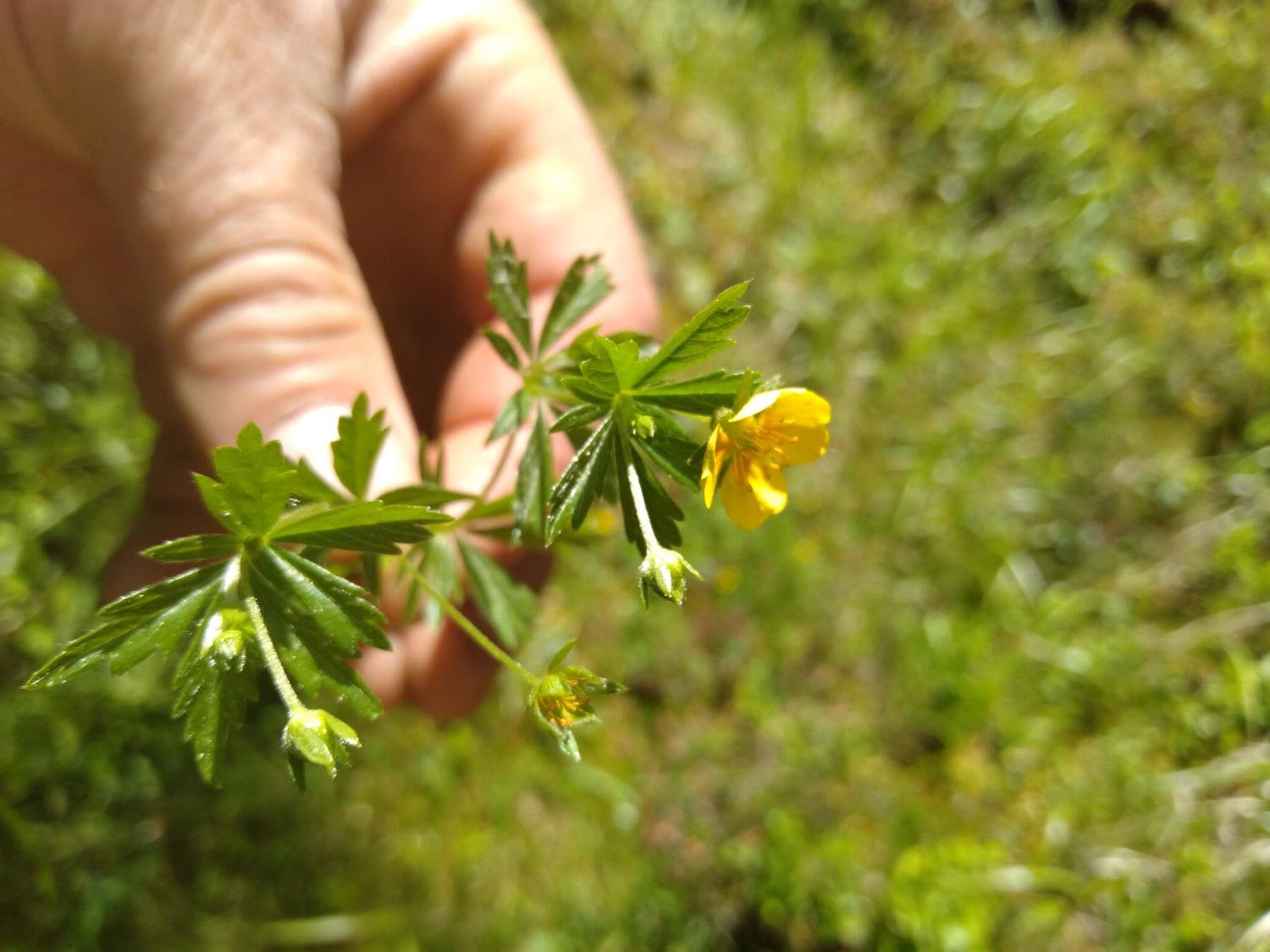 Photo 45