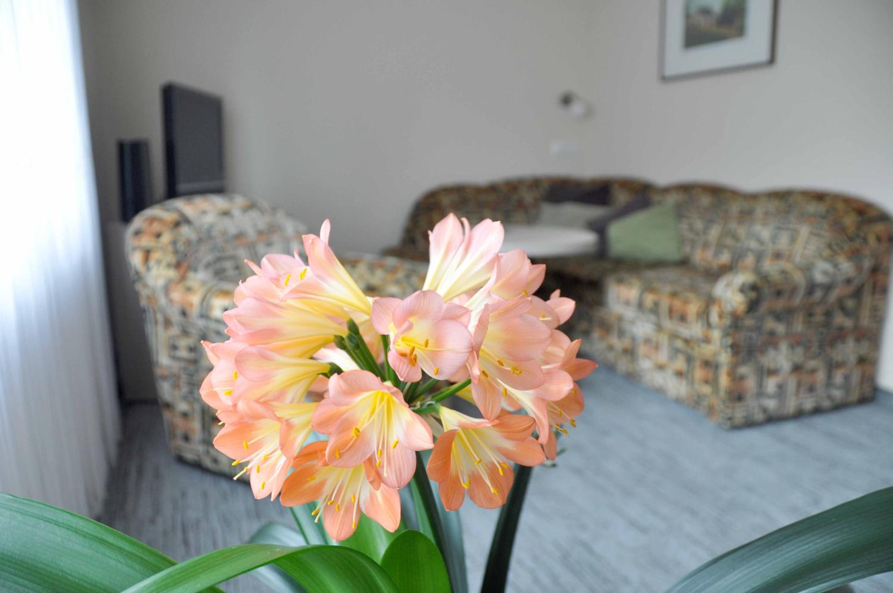 Ferienwohnung Blaumeise - Property Image 71