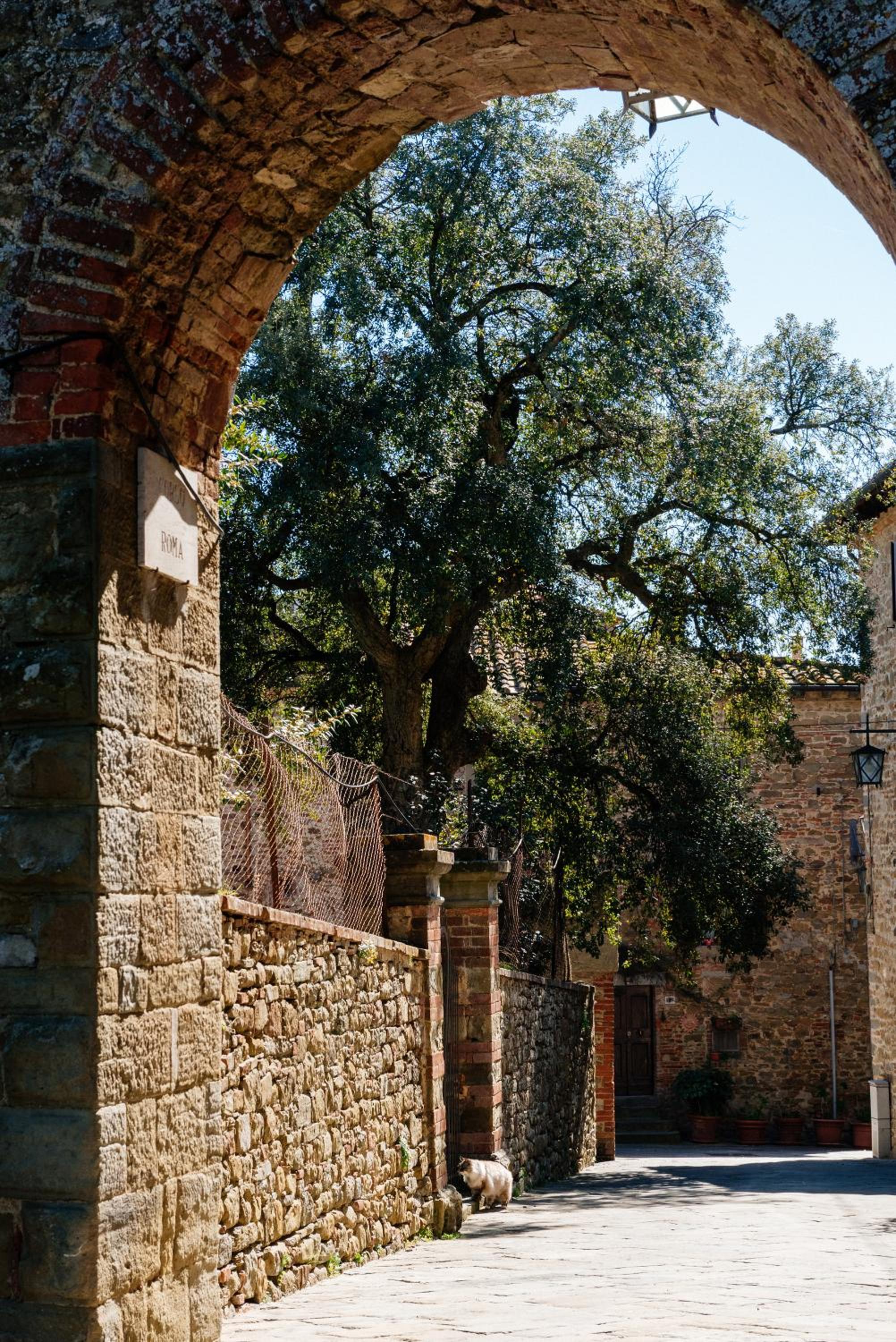B&B Borgo di Oliveto - Appartamenti con Cucina