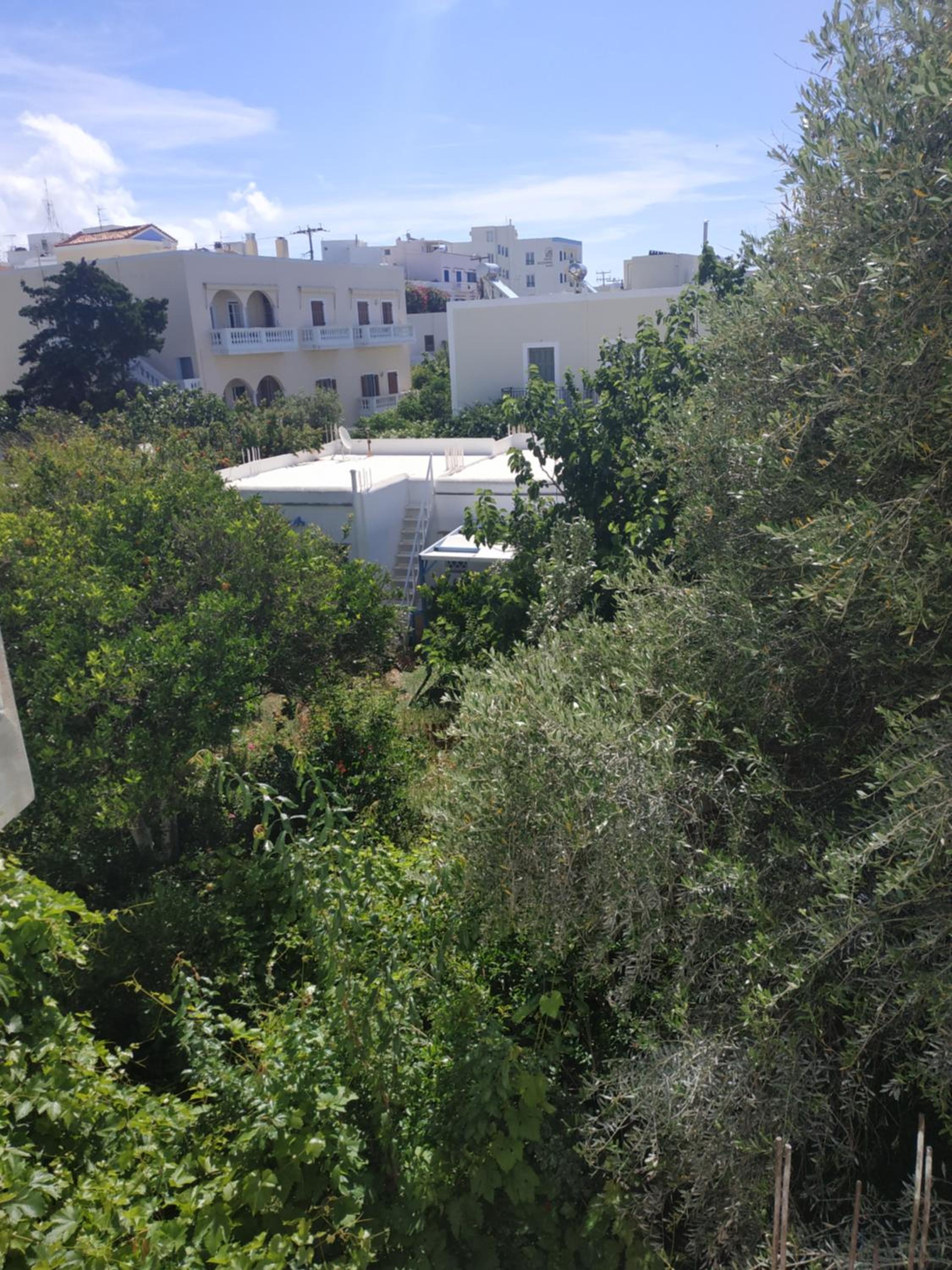 ENALION-TINOS