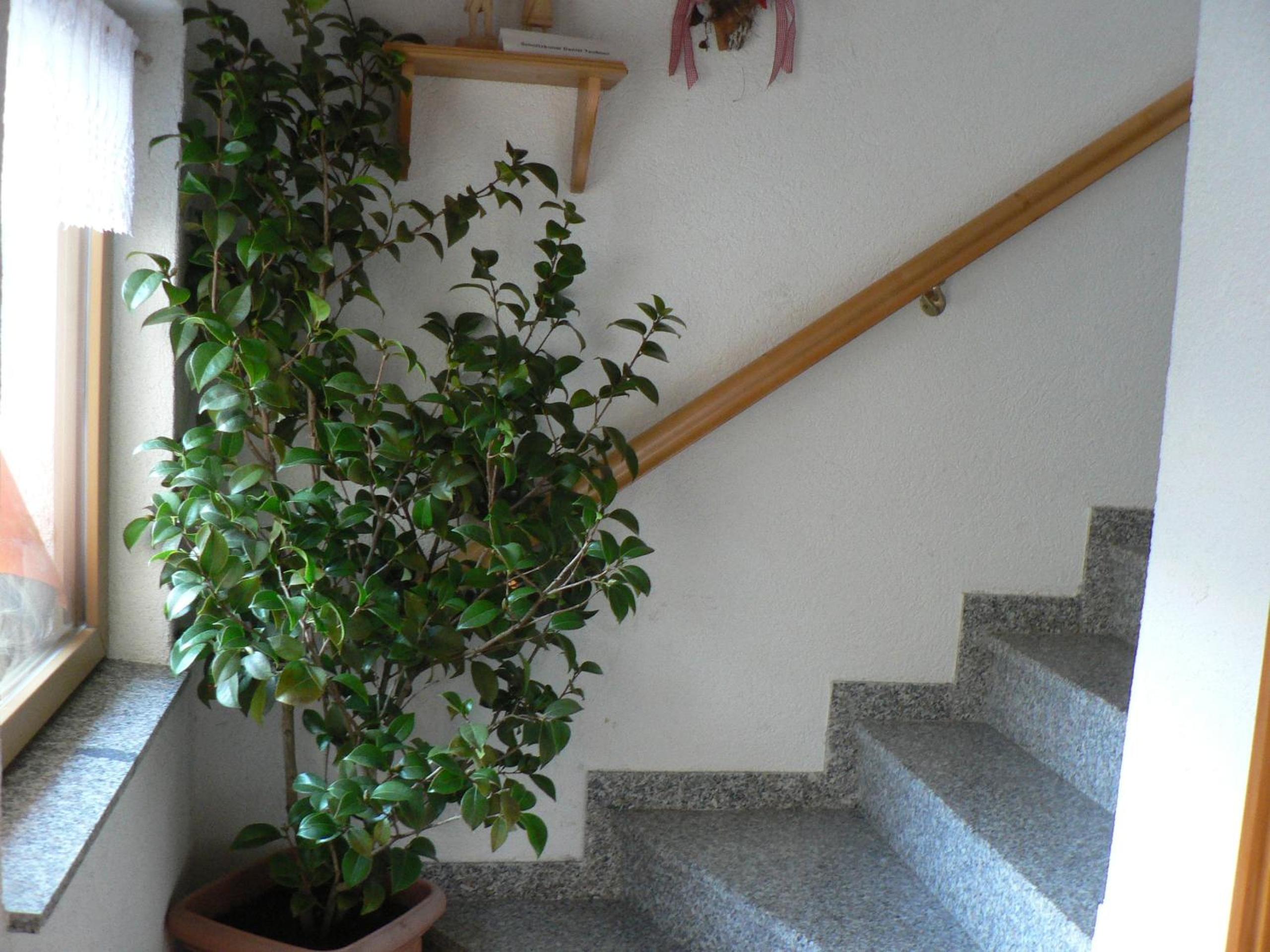 Ferienwohnung Teubner
