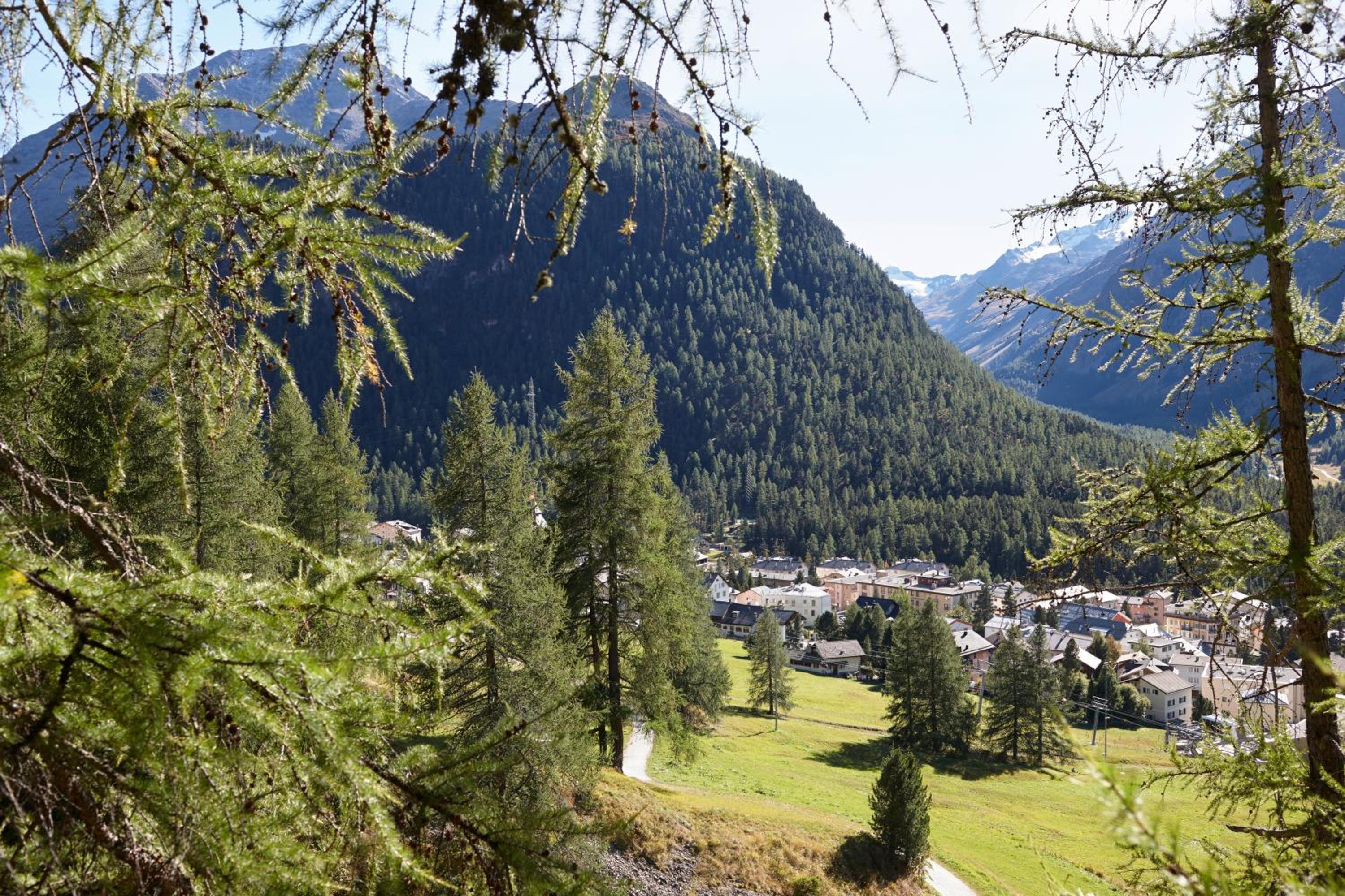 Alpine Lodge Chesa Plattner view 5
