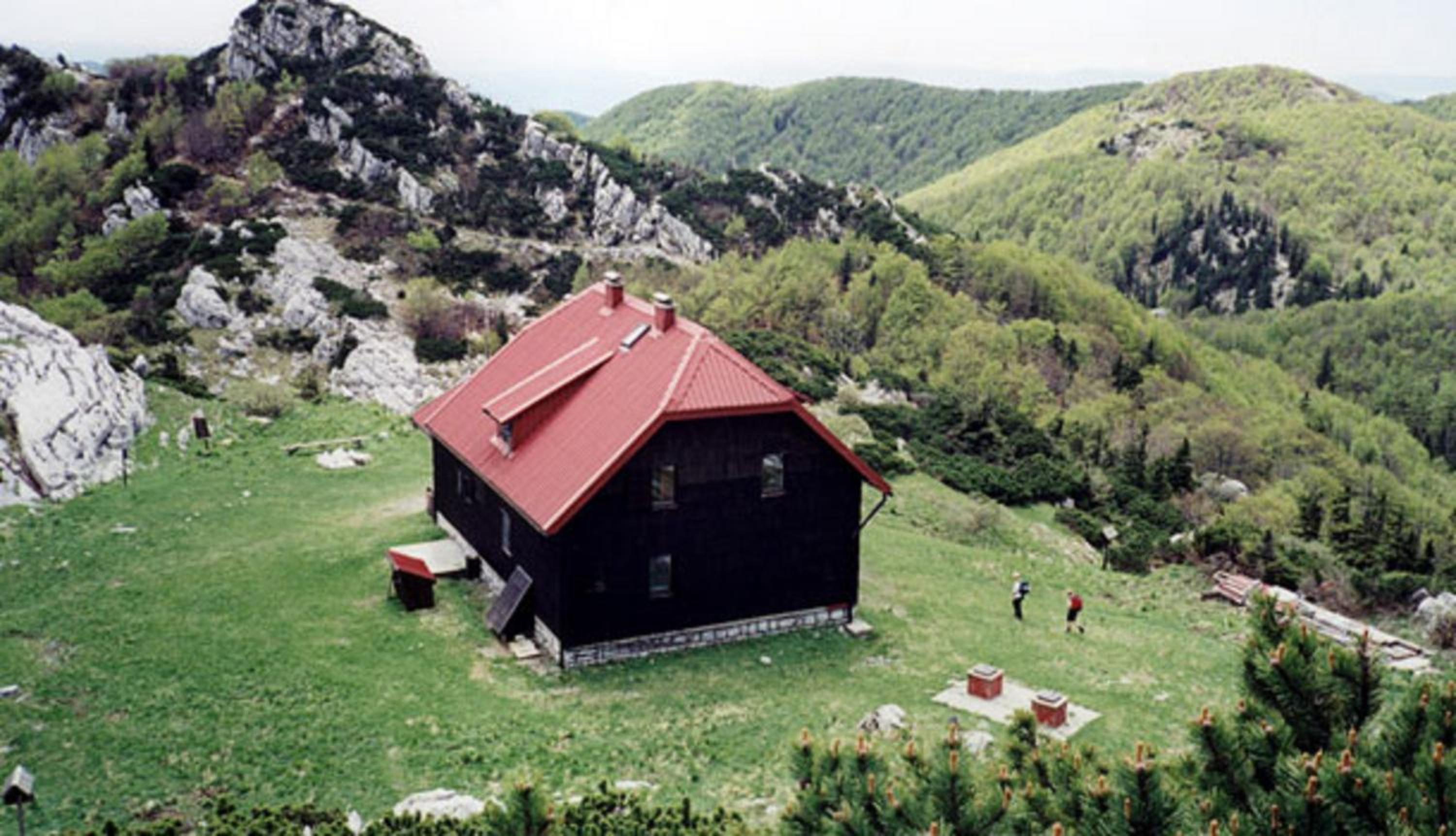 Photo 31