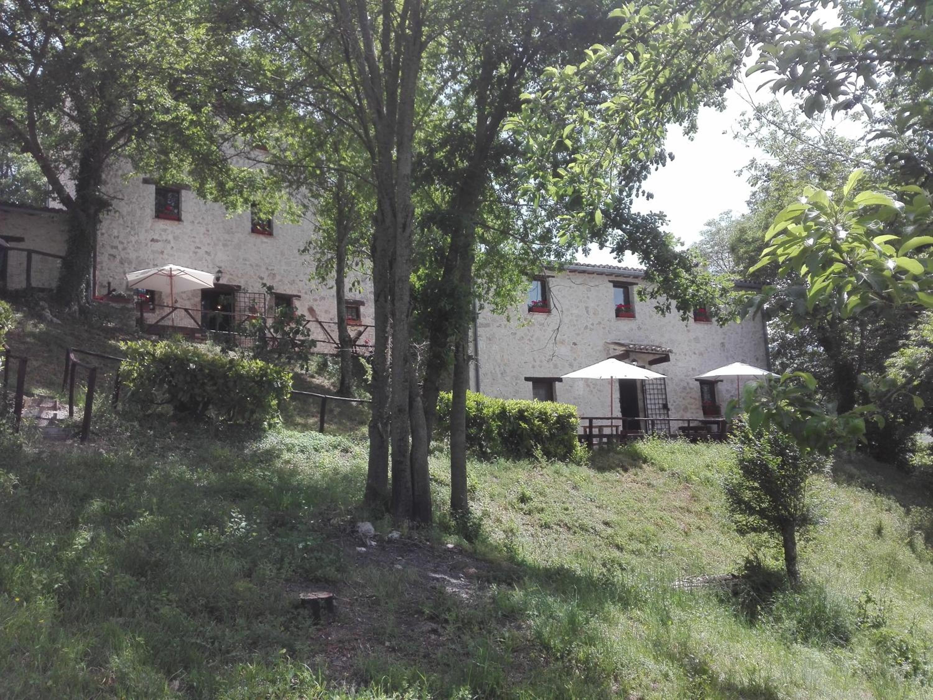 Photo 21