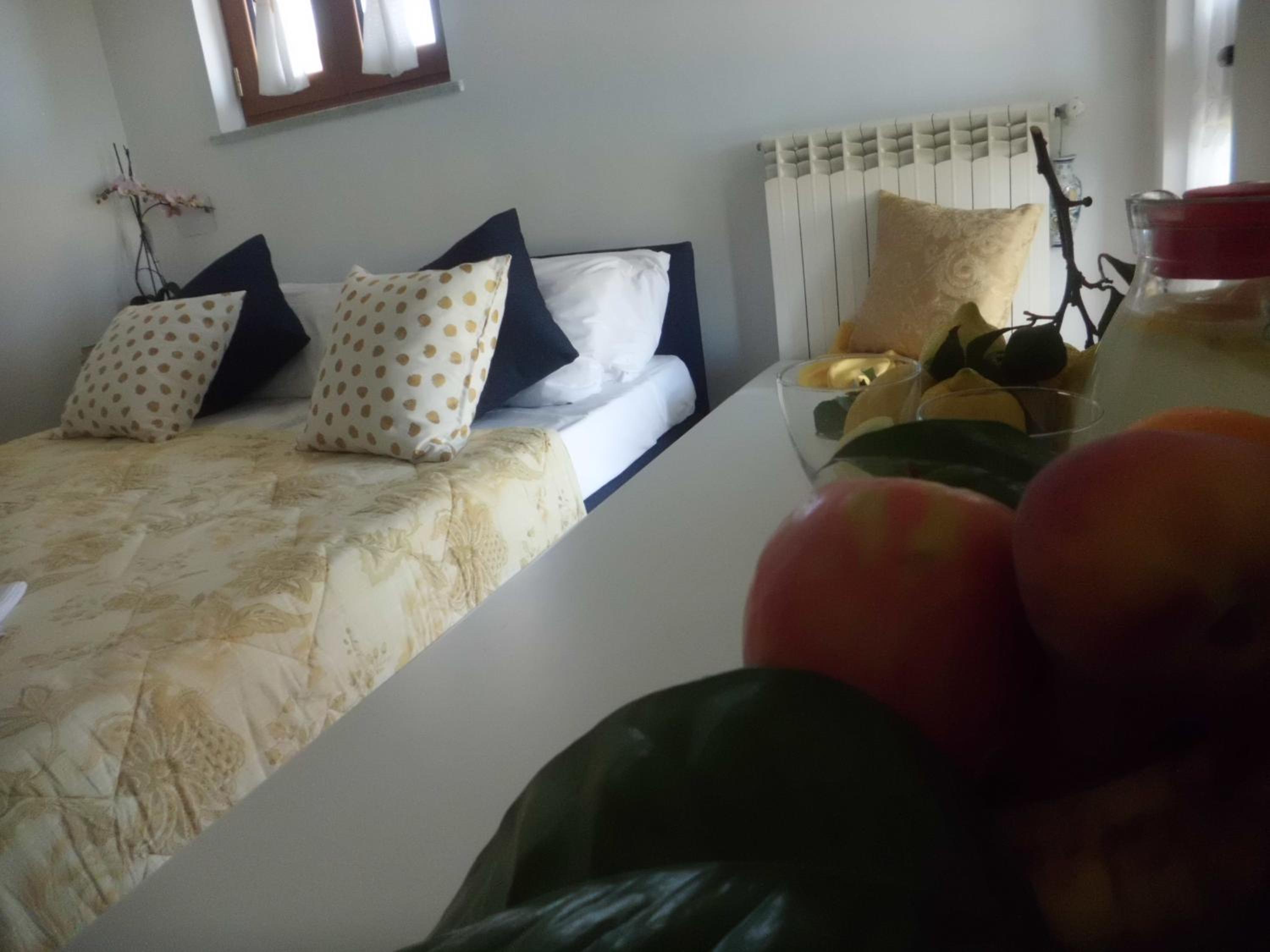 Oasi Madre della Pace
