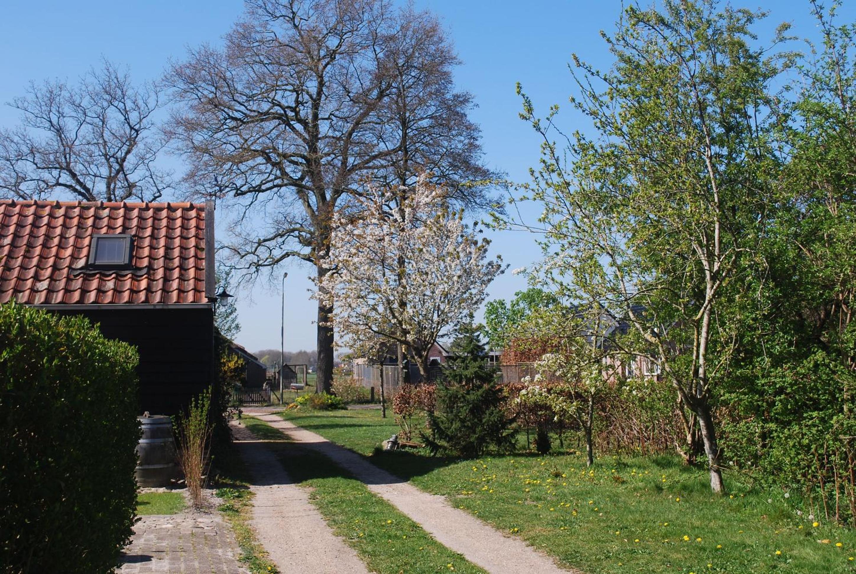 WW15 - Het Geitenhuisje view 3