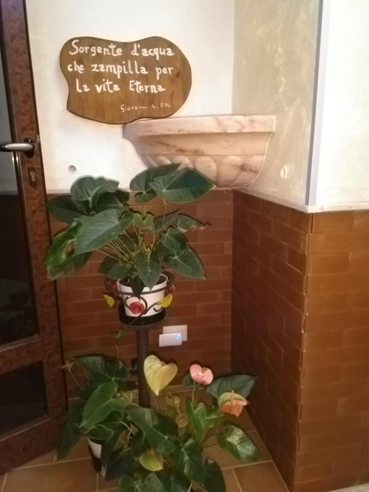 Oasi Madre della Pace