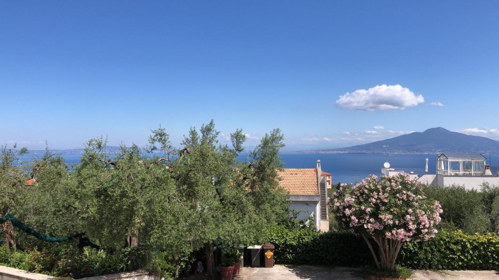 Oasi Madre della Pace