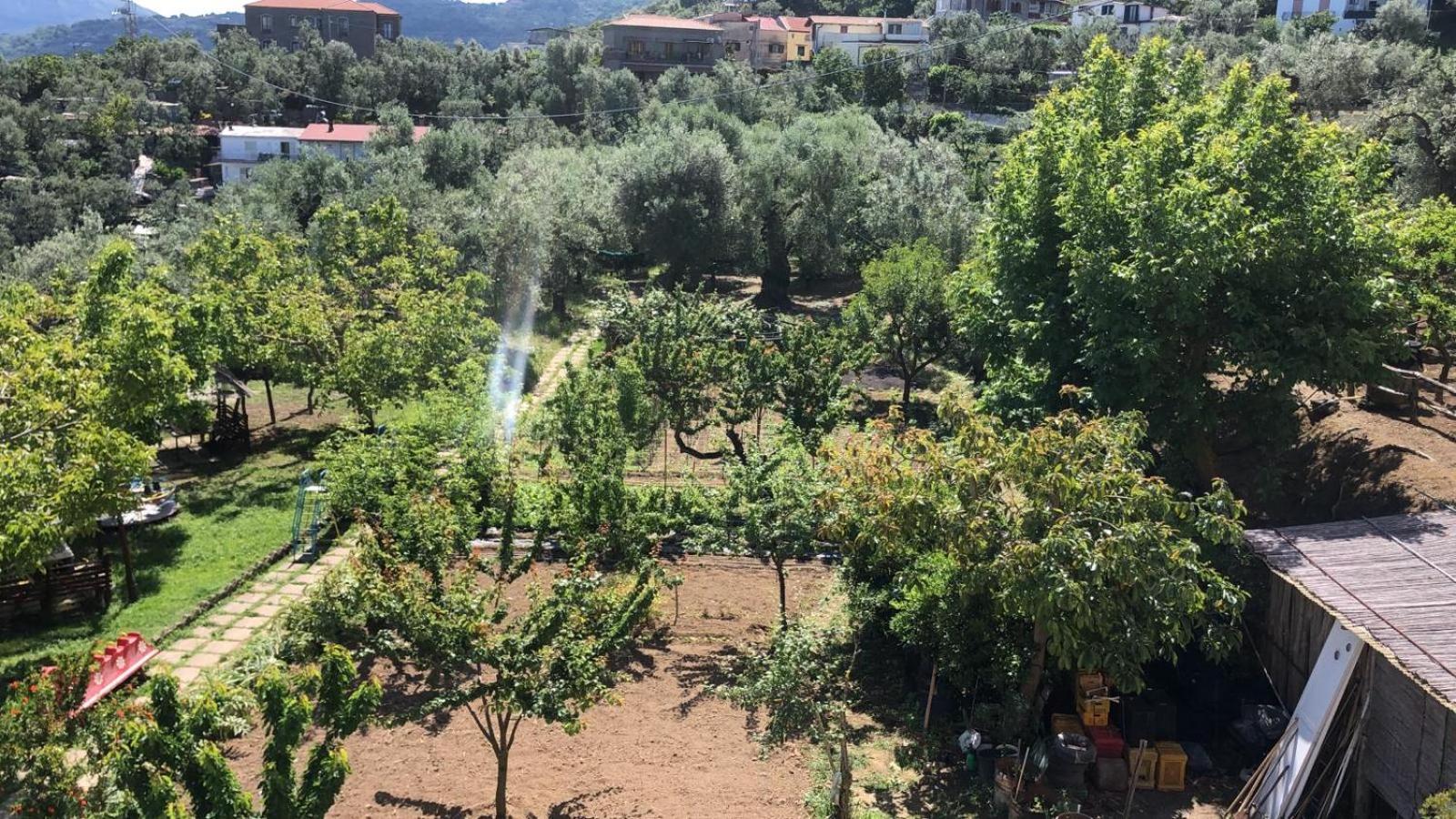 Oasi Madre della Pace