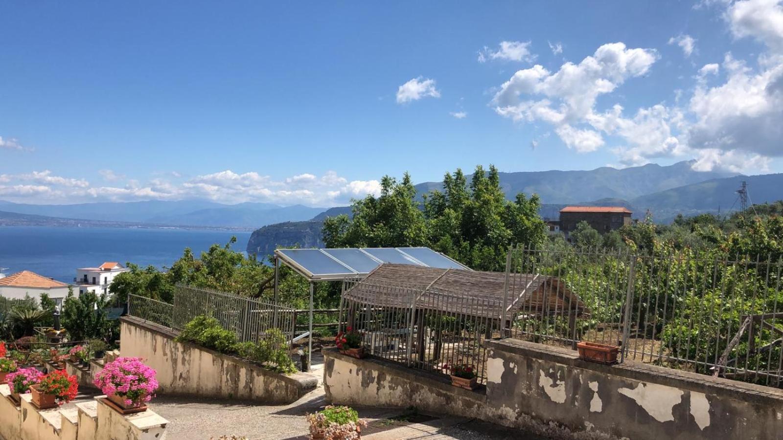 Oasi Madre della Pace
