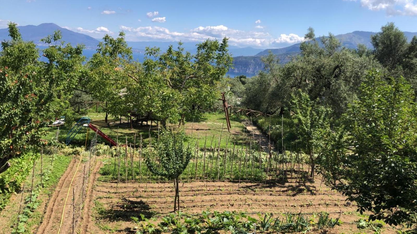 Oasi Madre della Pace