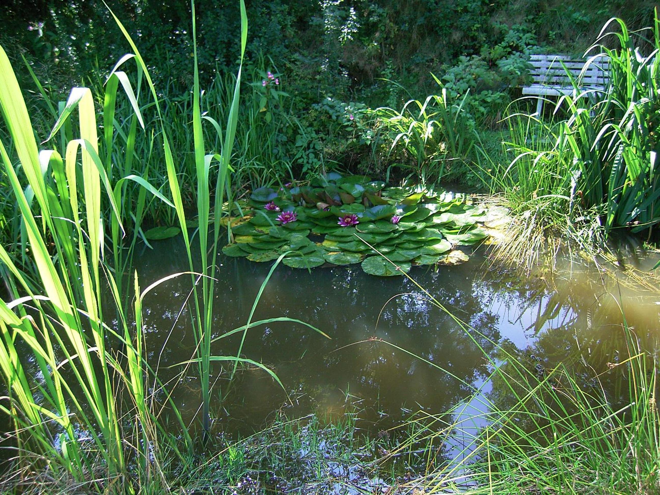 Photo 9