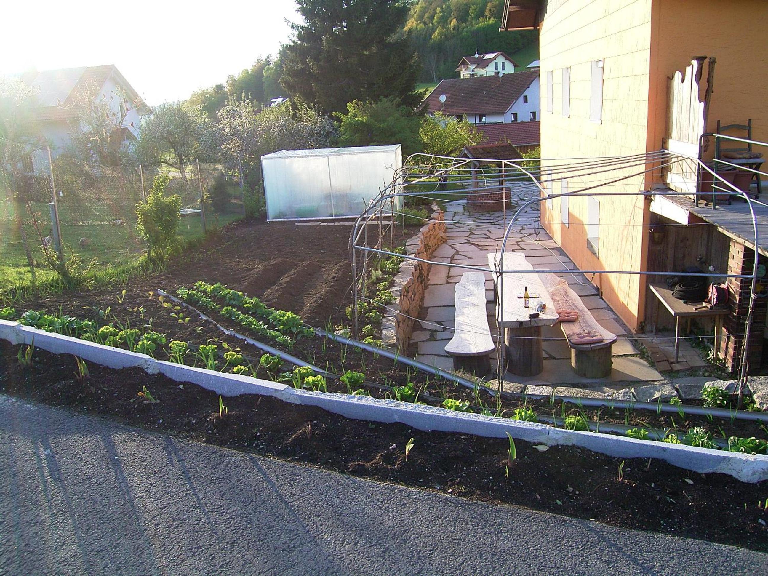 Photo 10