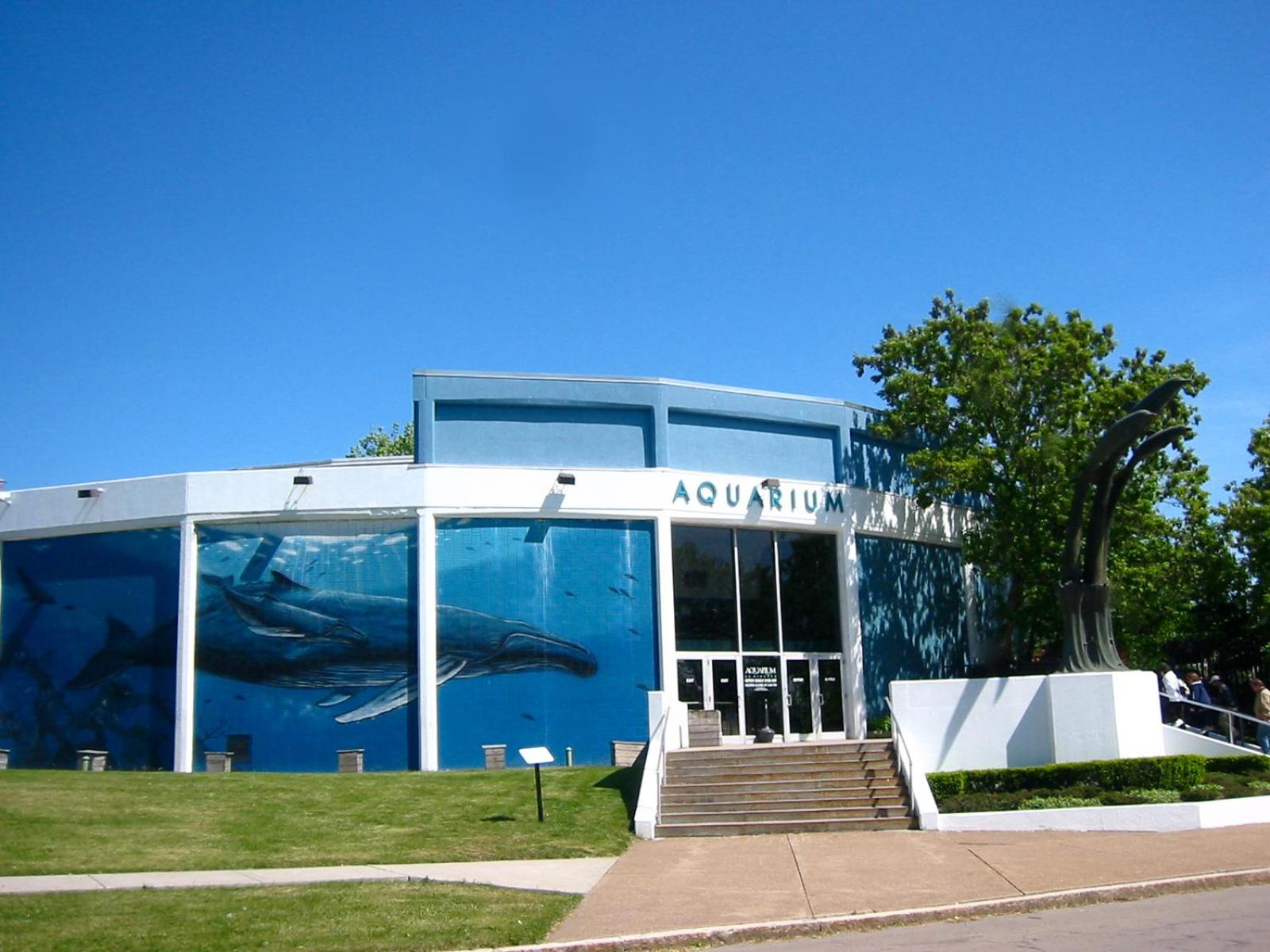 Falls Retreat - Walk to the Falls, the Casino and all Downtown Restaurants - Across from the Aquarium view 2