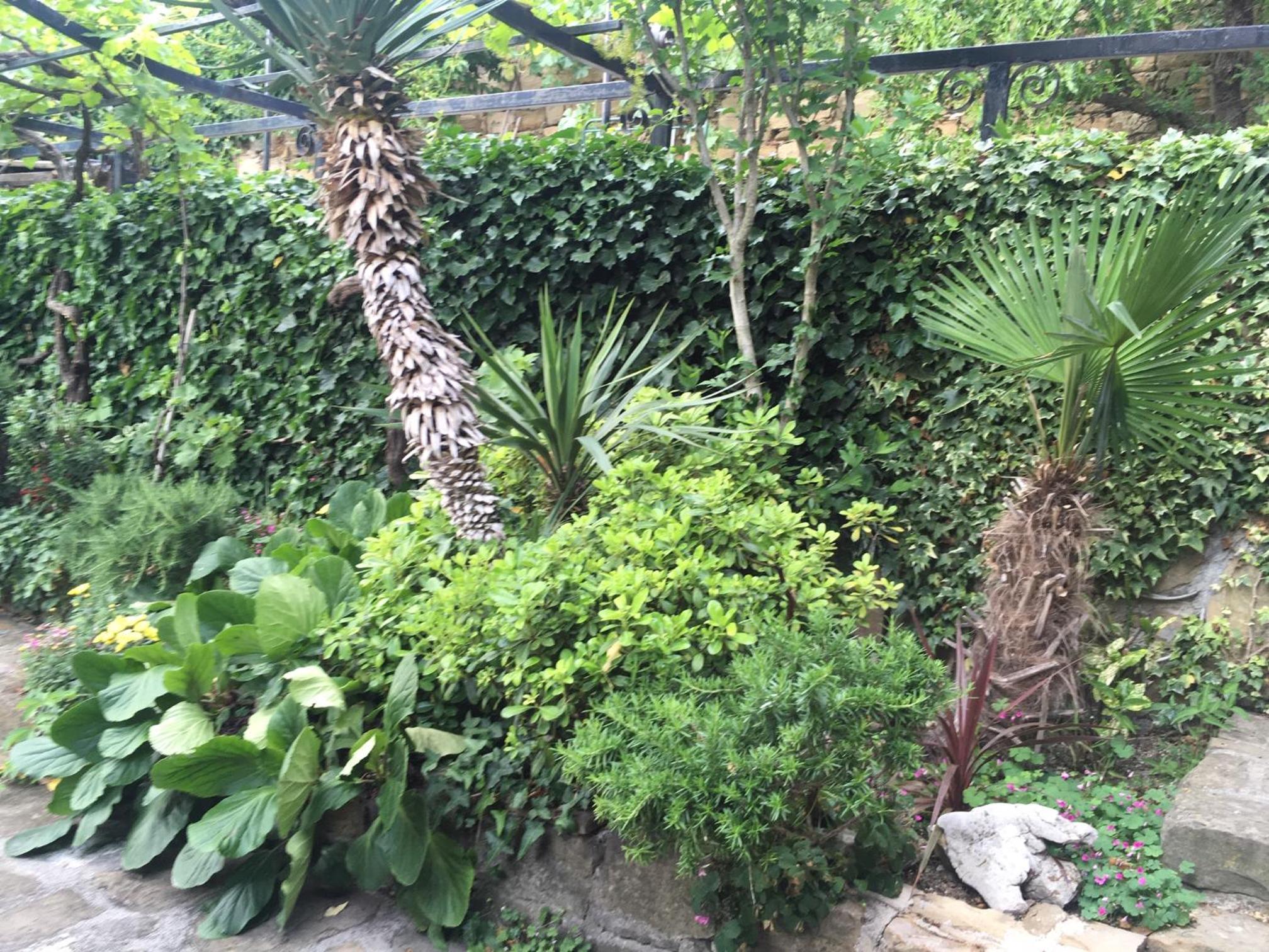 Photo 14