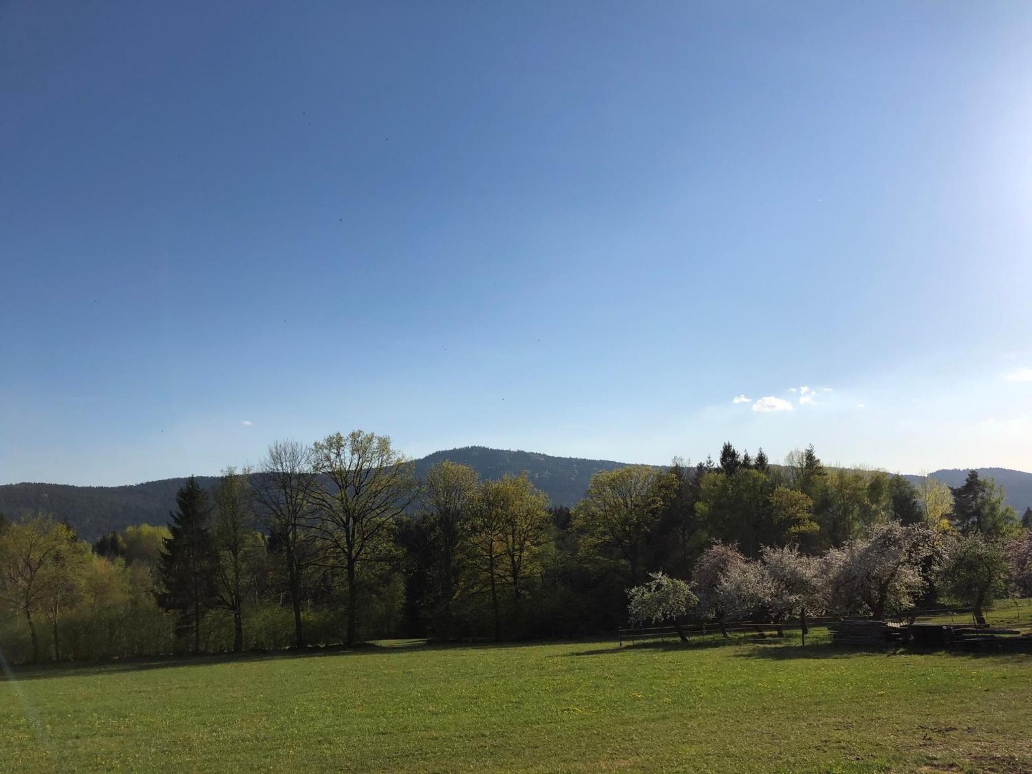 Steinbühler Hof - Stressfrei am Lande
