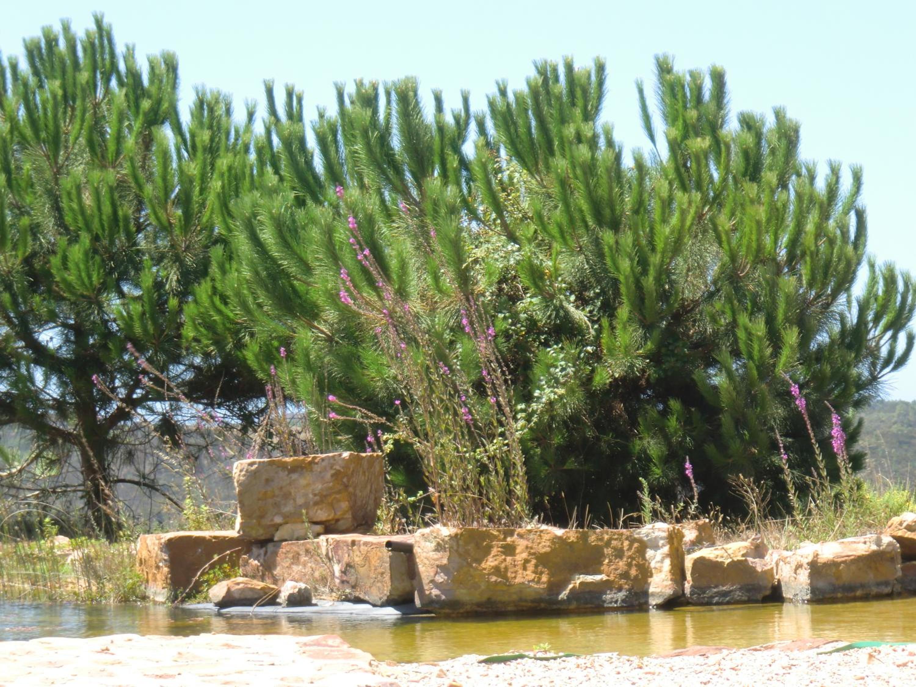 Photo 35
