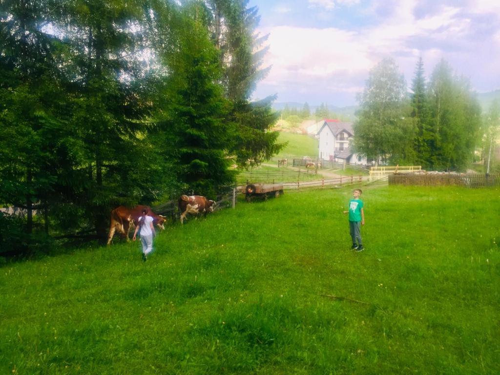 Photo 49