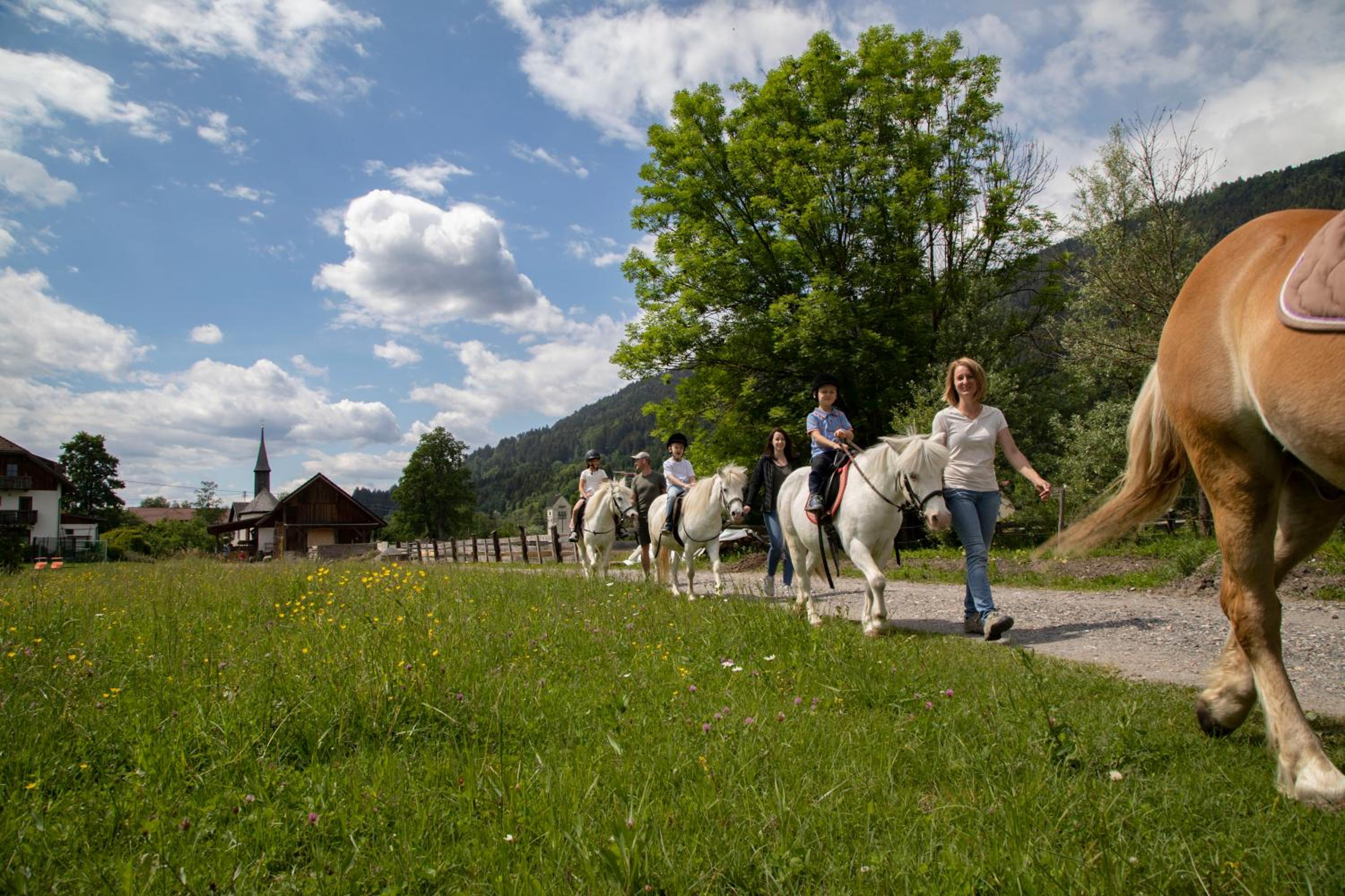 Schullerhof