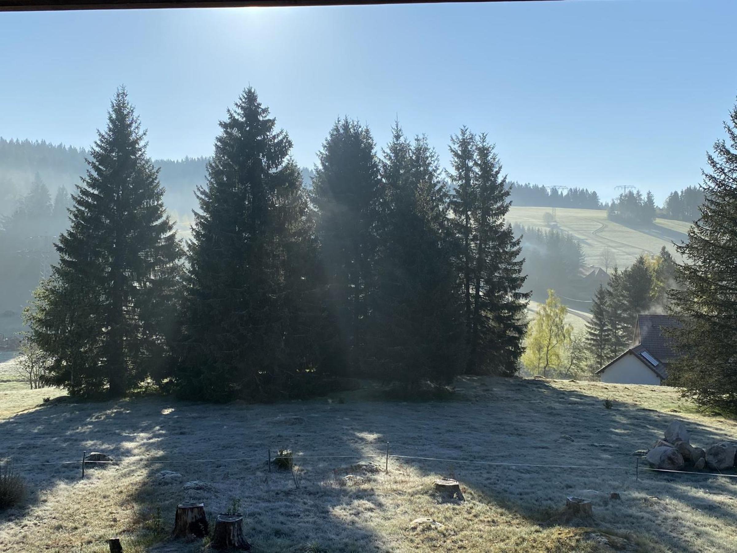 Haus Gutach view 3