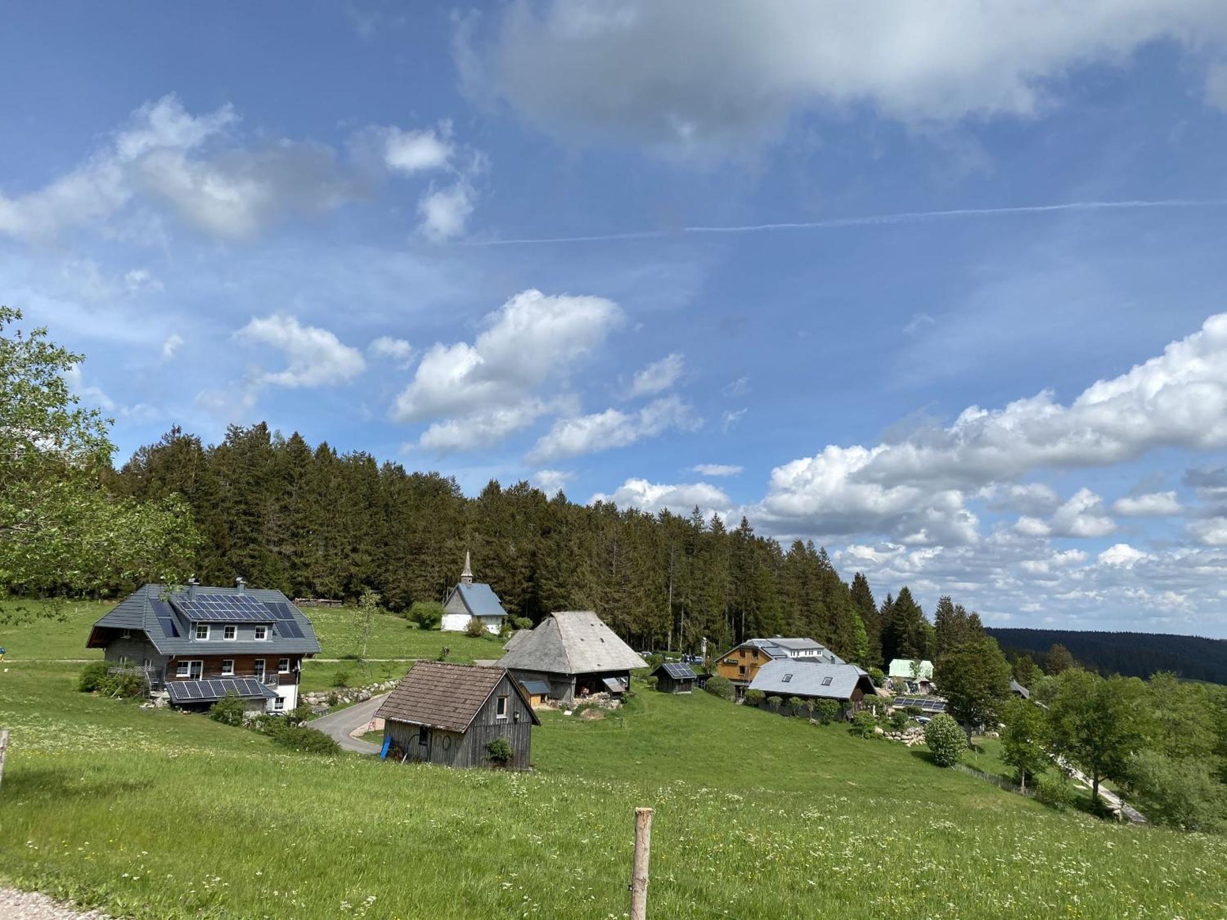 Photo 20