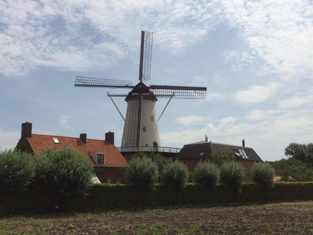 Photo 23