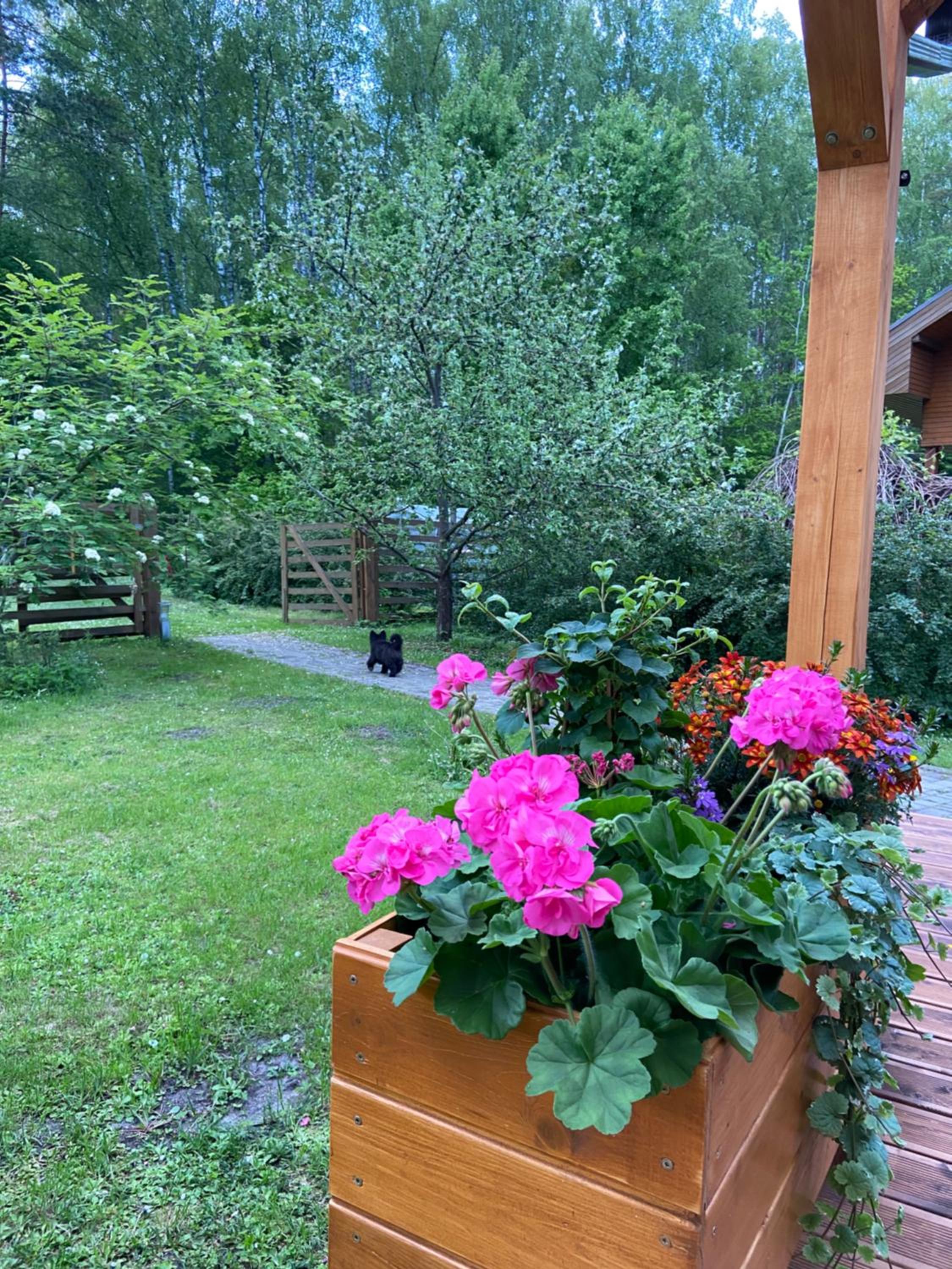 Photo 17