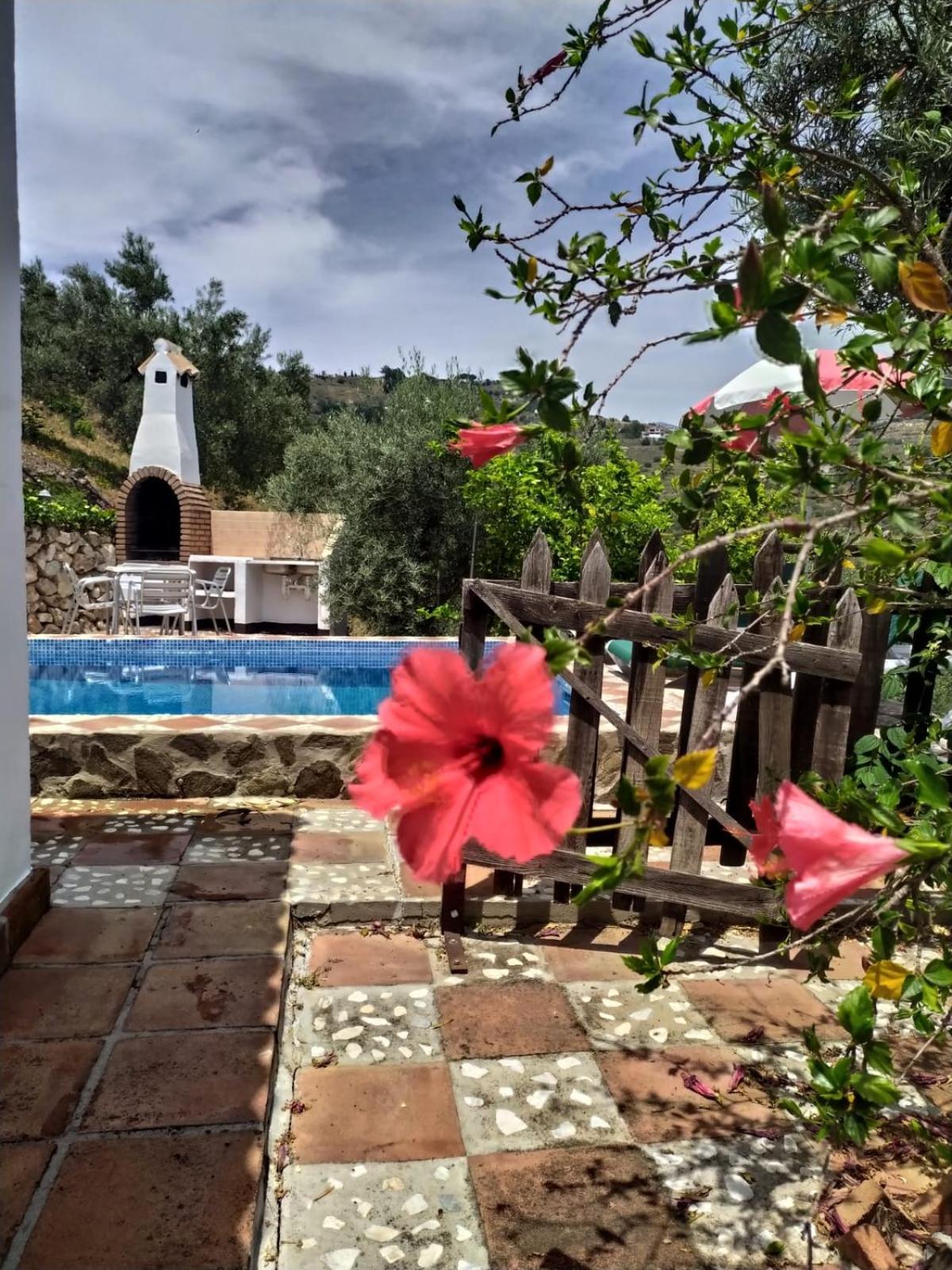 Cortijo la Joya - main view