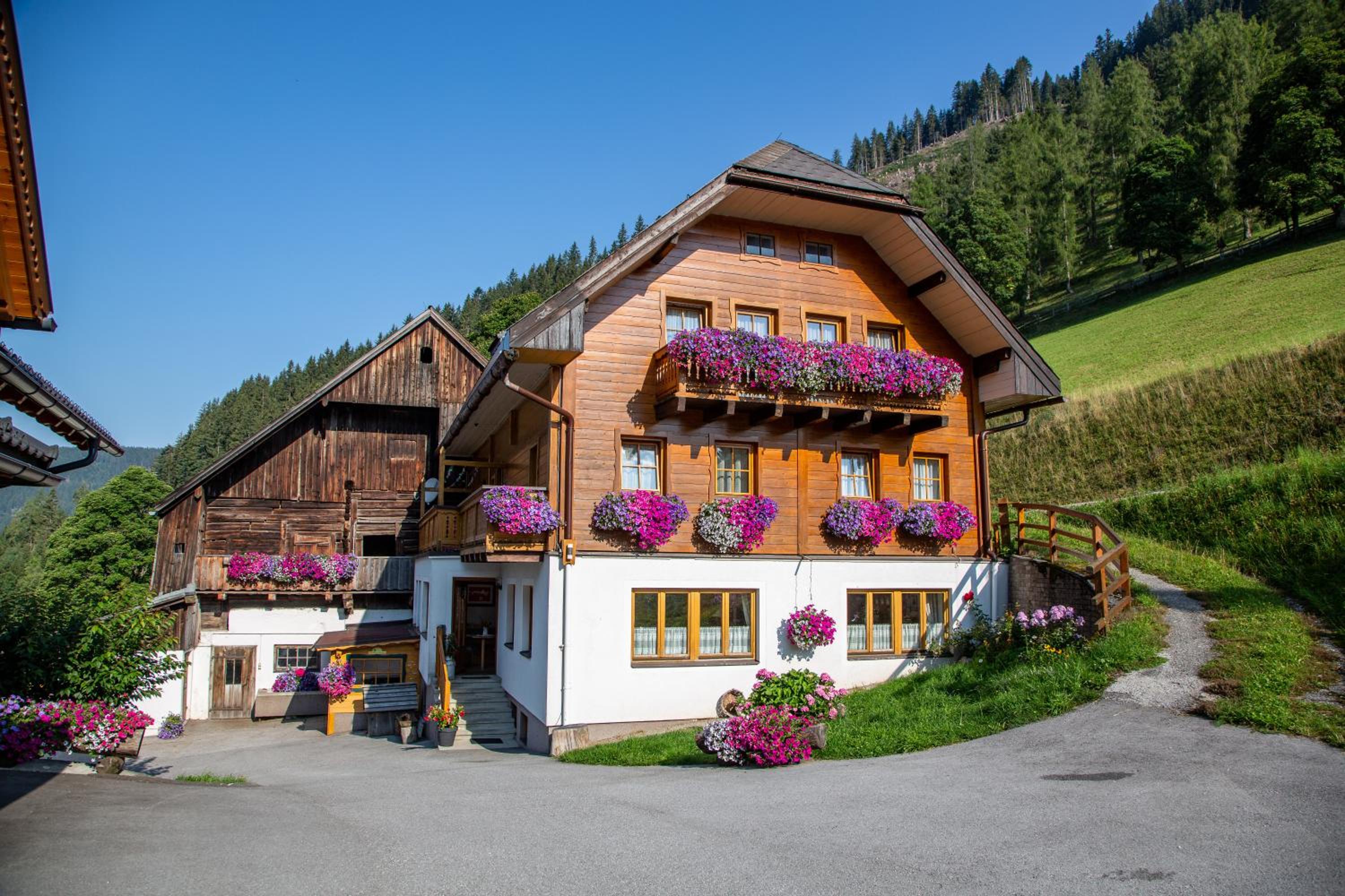 Bio-Bauernhof Grundlehnerhof