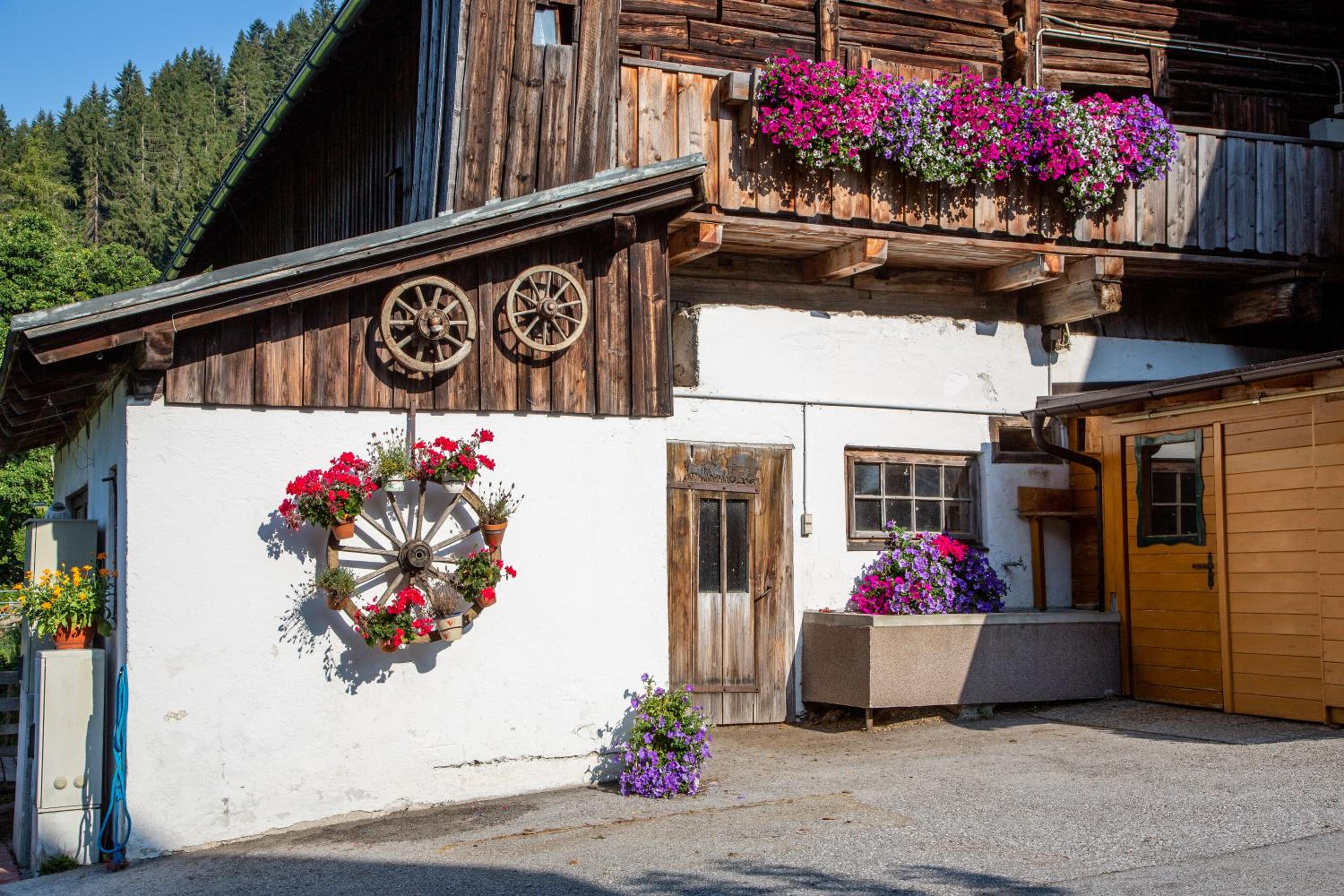 Bio-Bauernhof Grundlehnerhof