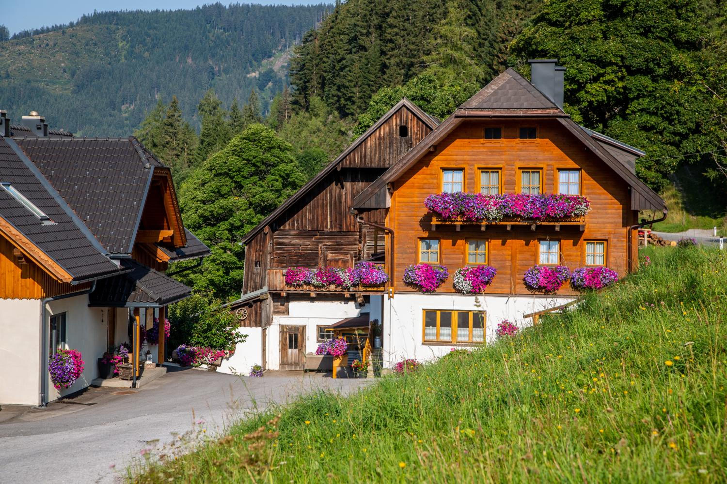 Bio-Bauernhof Grundlehnerhof