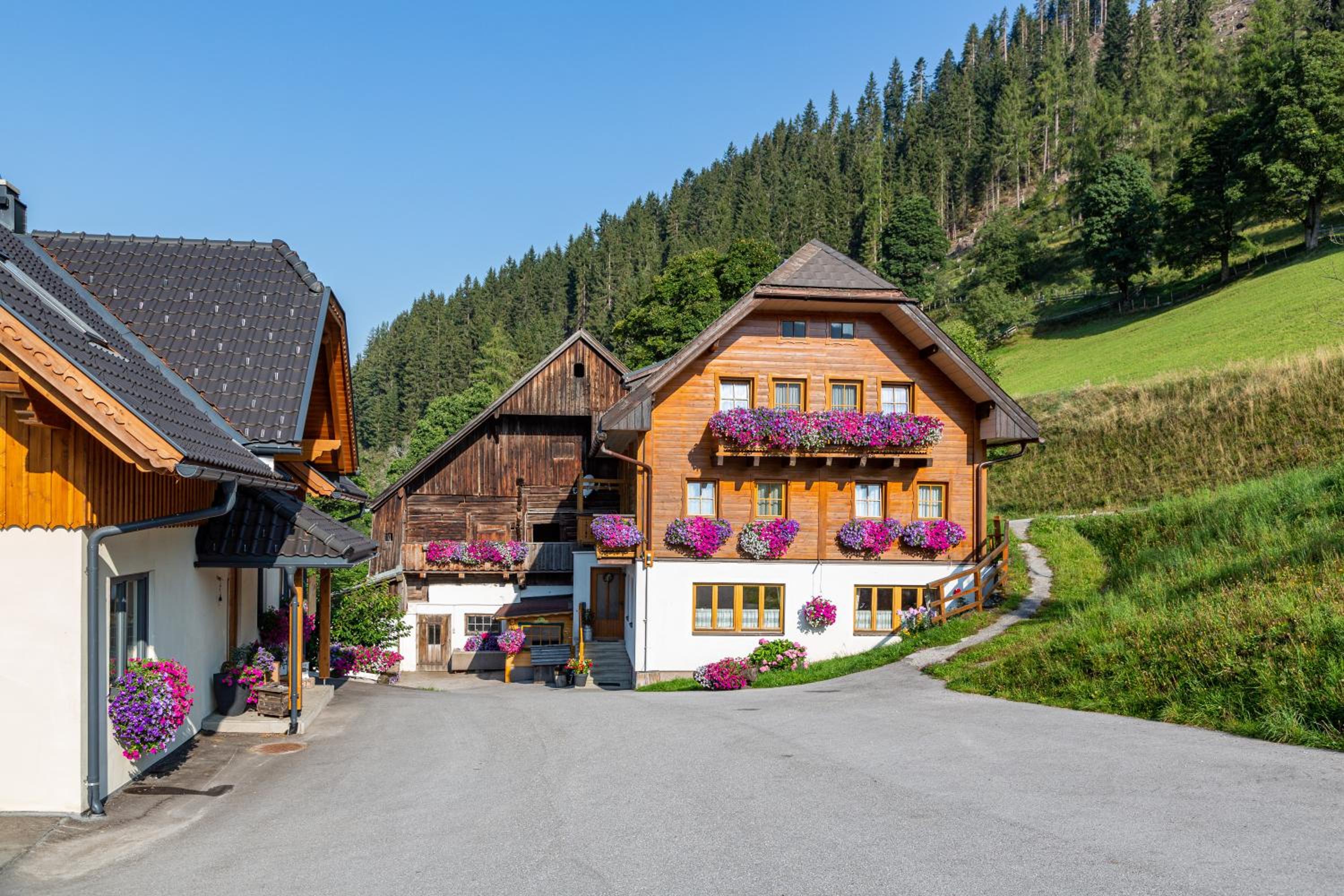 Bio-Bauernhof Grundlehnerhof